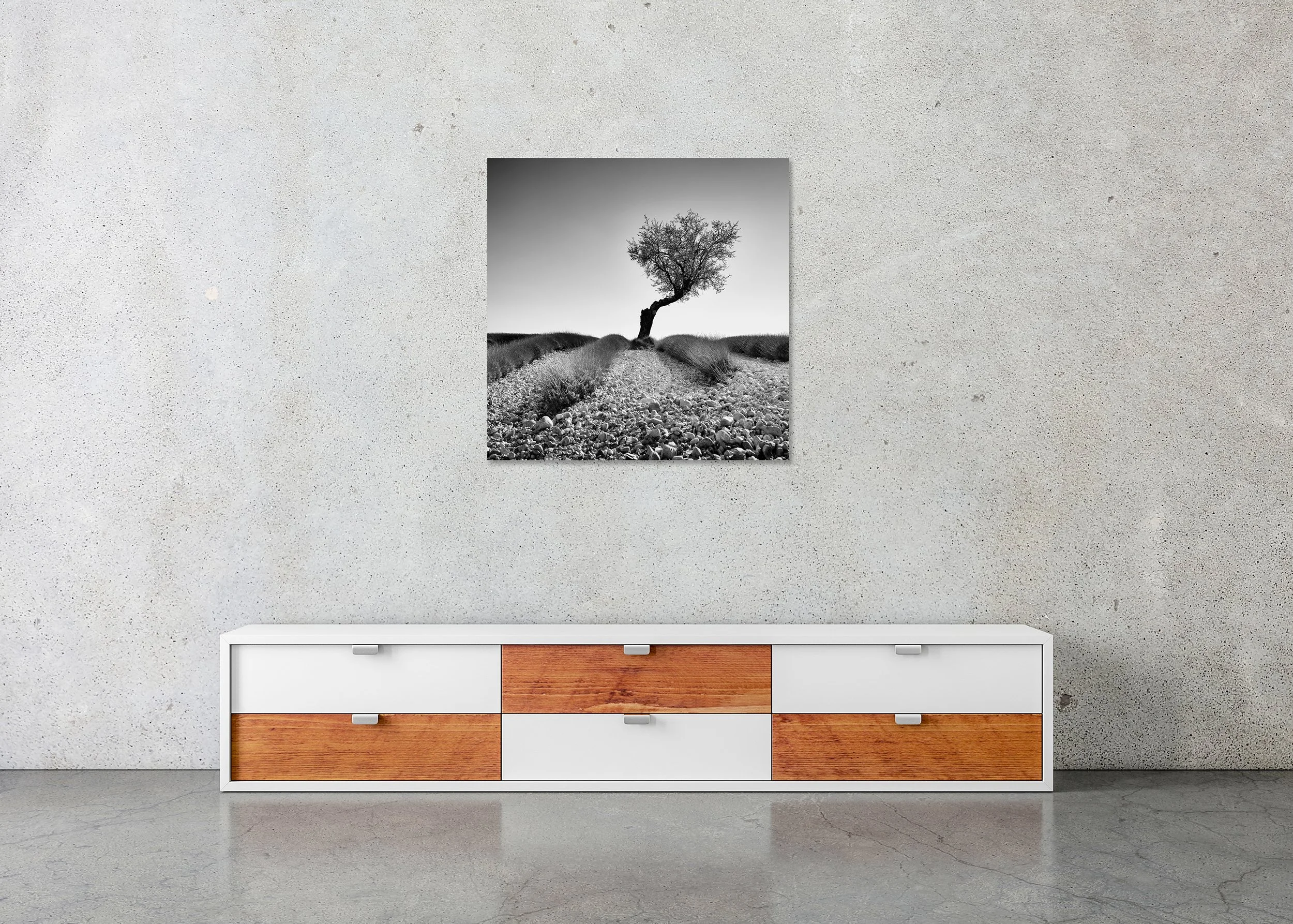 Tree in a Stony Lavender Field, Study 1 – frameless black-and-white Dibond print displayed above a low cabinet.