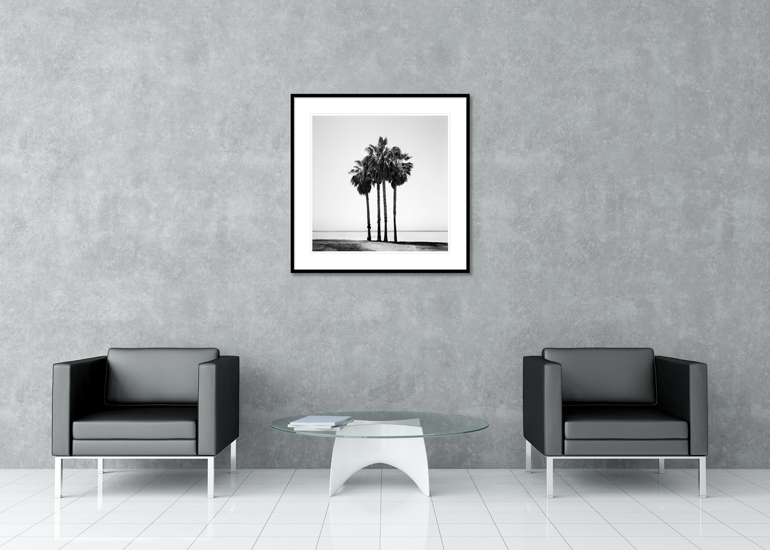Four Palm Trees – California, USA, black-and-white archival pigment print in a classic frame with a mount