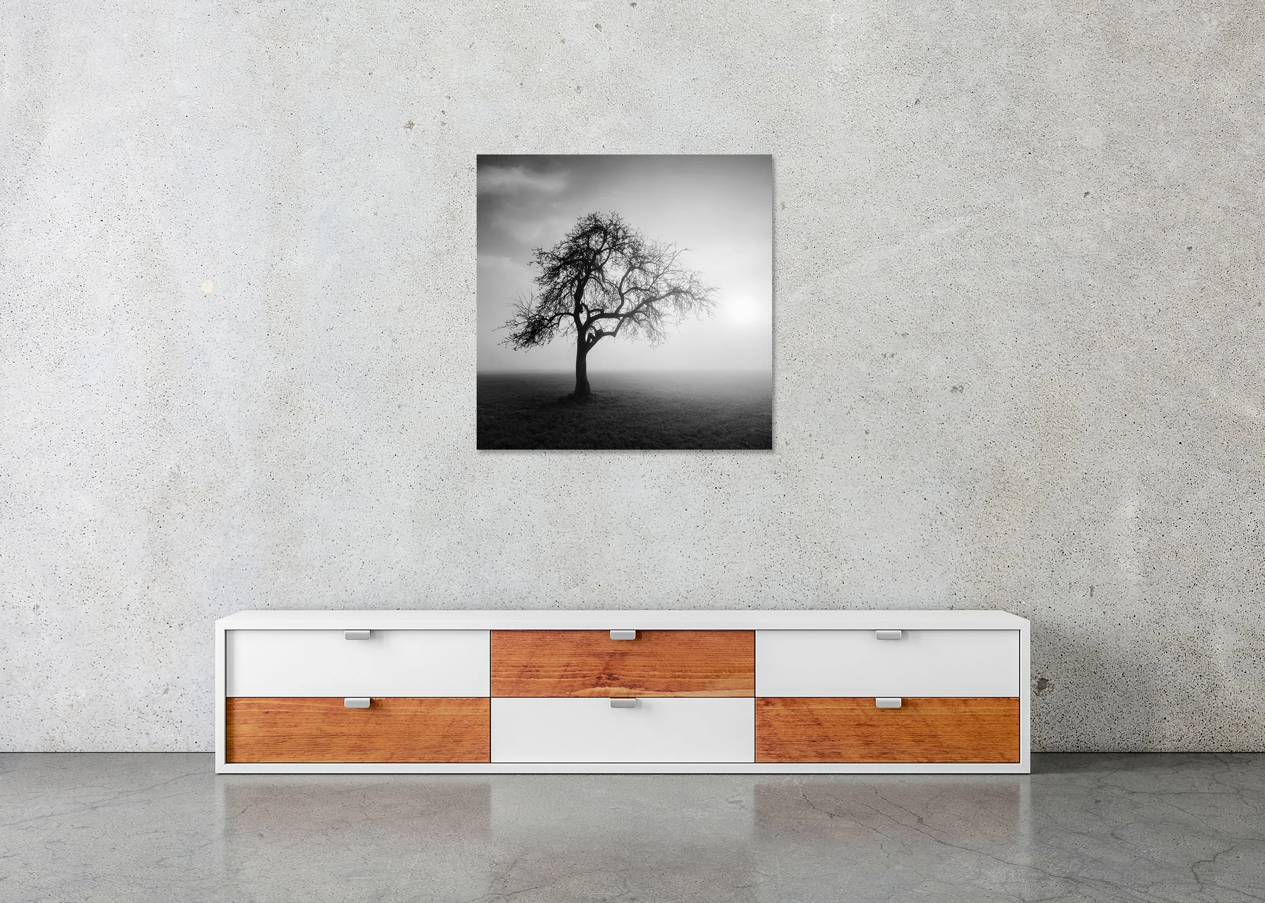 Foggy Morning, Study 1 – Austria, frameless black-and-white photograph on aluminium Dibond displayed above a low cabinet.