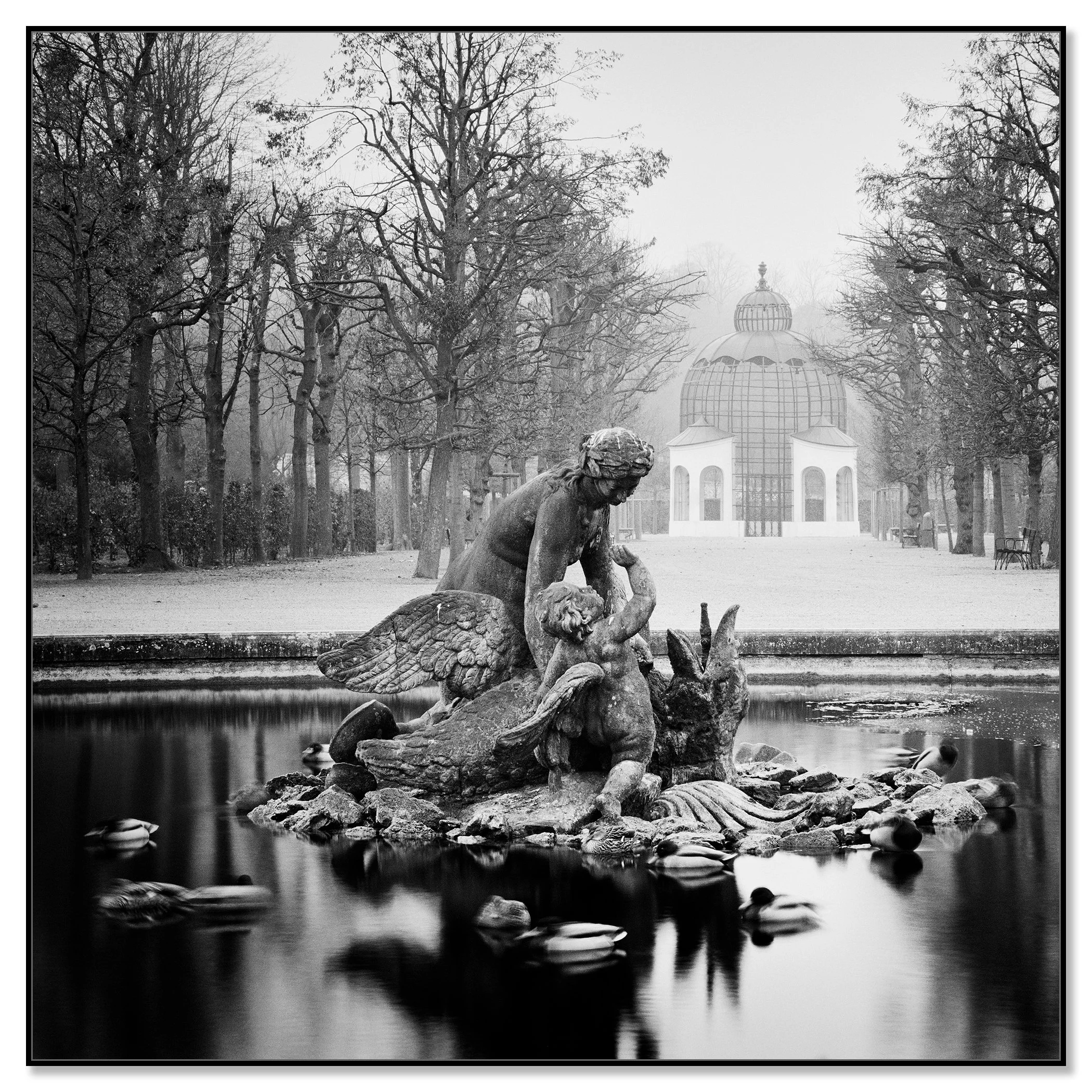 Duck Race by Gerald Berghammer presented in a white aluminium ArtBox frame.