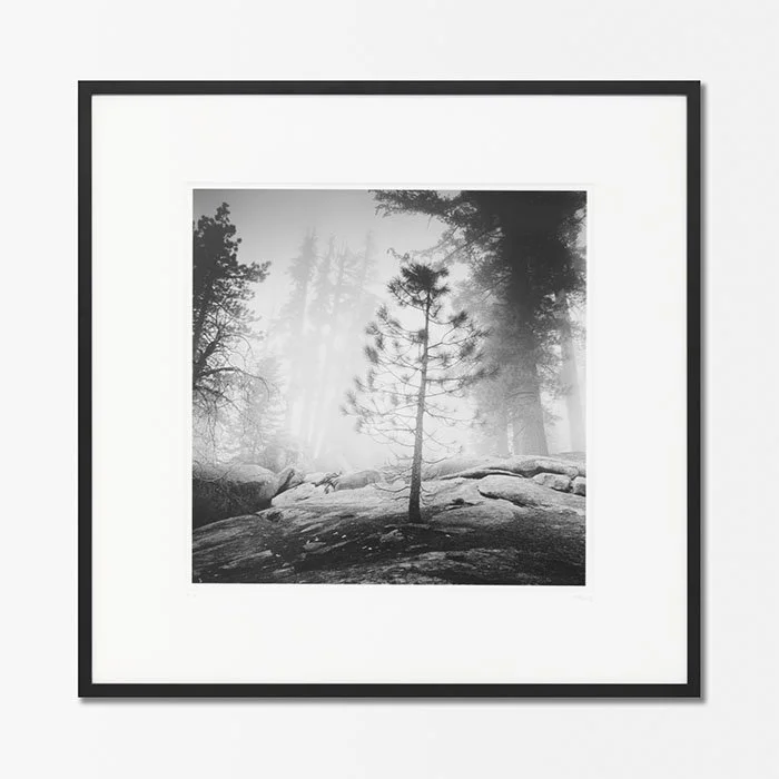 Into the Wild, California, USA, Edition 1/9