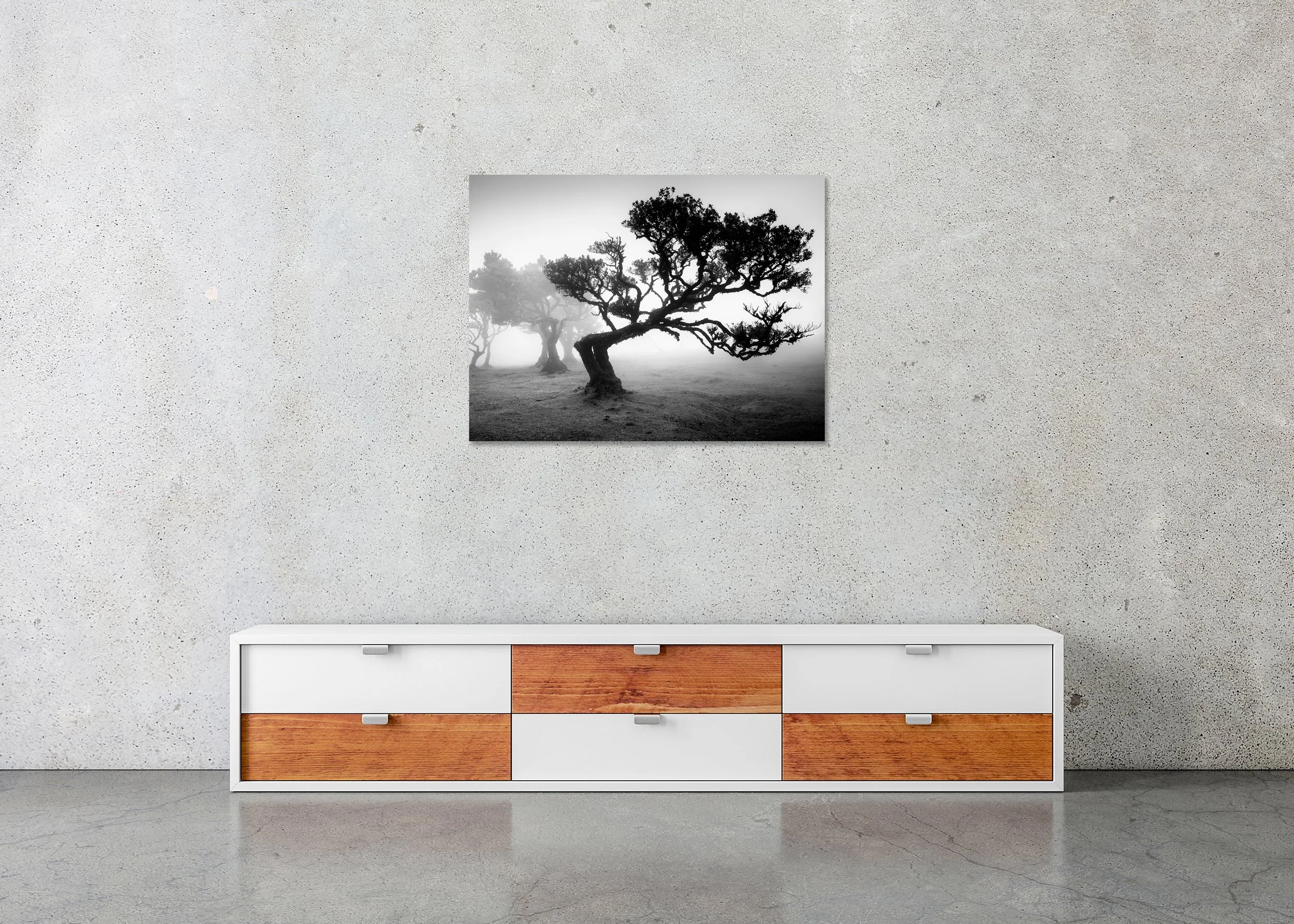 Ancient Laurisilva Forest Study 1 displayed in a modern interior as a frameless black-and-white aluminium Dibond print. Photo by Gerald Berghammer.