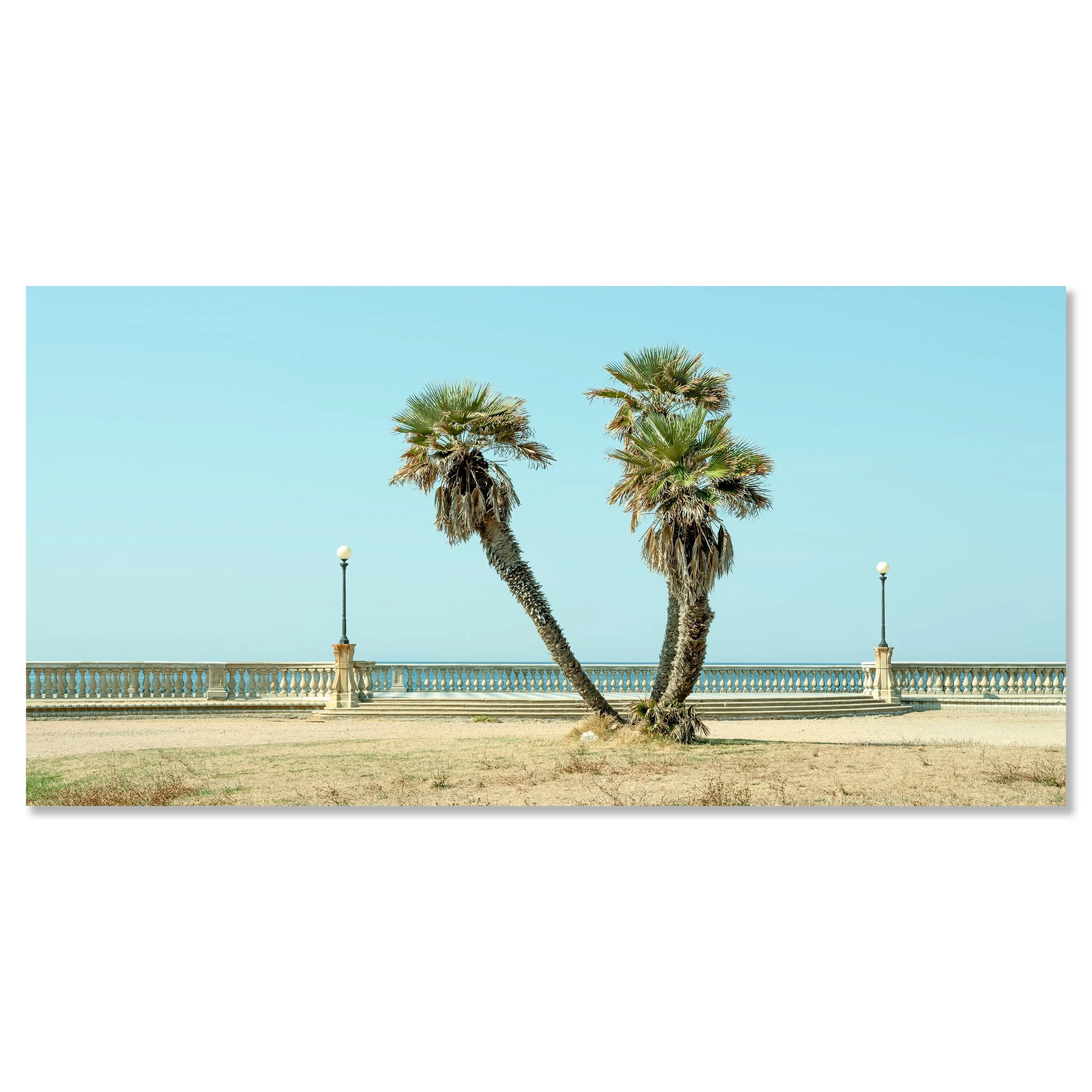 Twin Palms by the Sea – Tuscany, colour photo print mounted to frameless Dibond, photo by Gerald Berghammer.