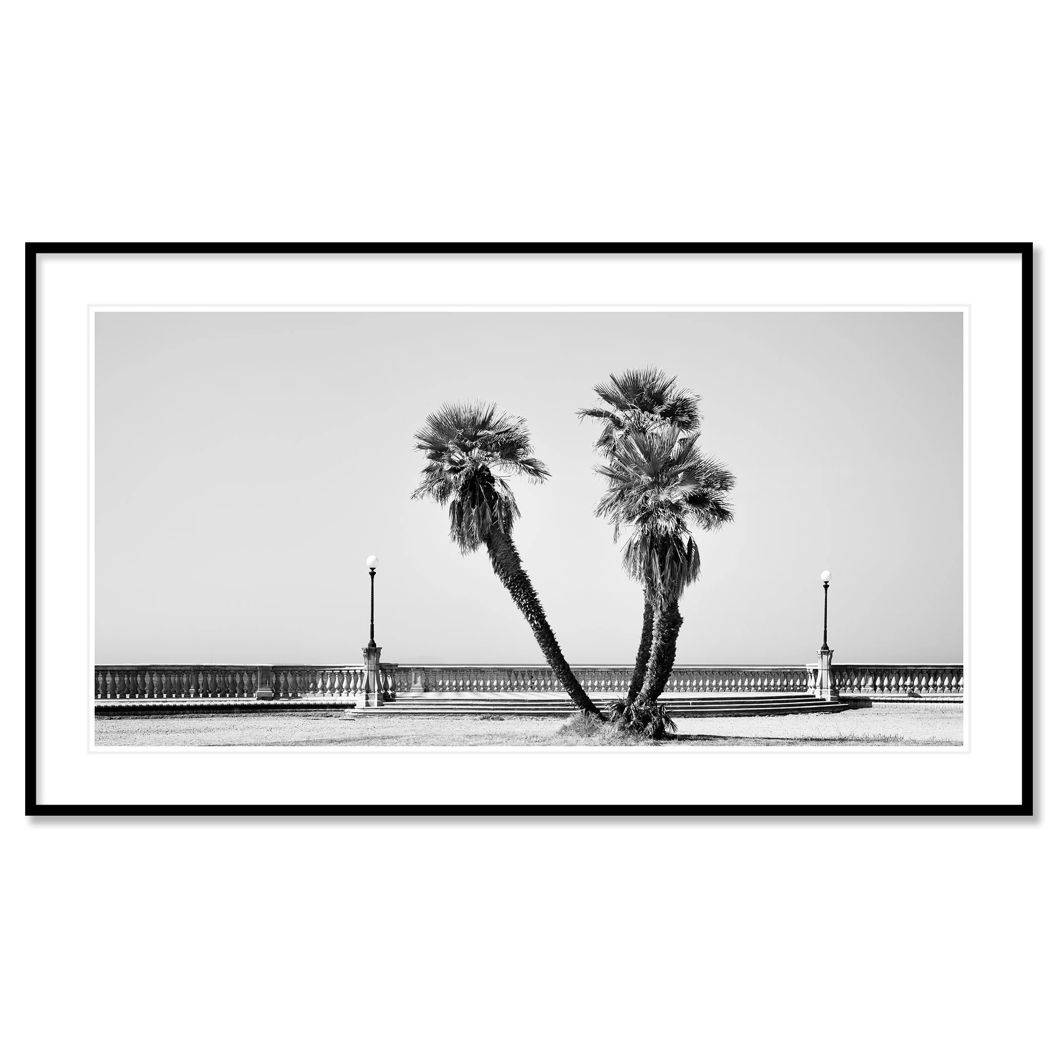 Palm Trees Study 2 by Gerald Berghammer, archival pigment print presented in a black aluminium frame with a white mount.