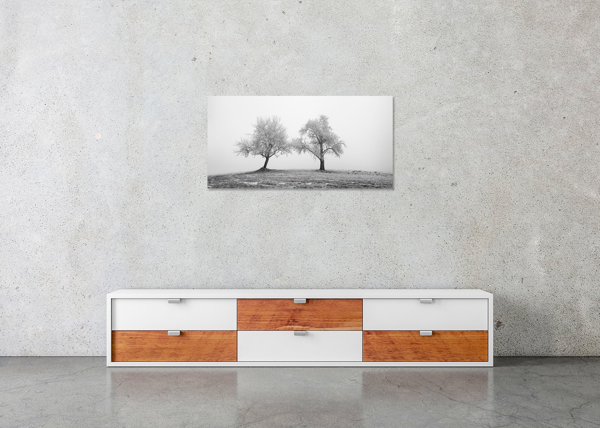 Two Lonely Frozen Trees Panorama displayed in a modern interior as a frameless black-and-white aluminium Dibond print by Gerald Berghammer.