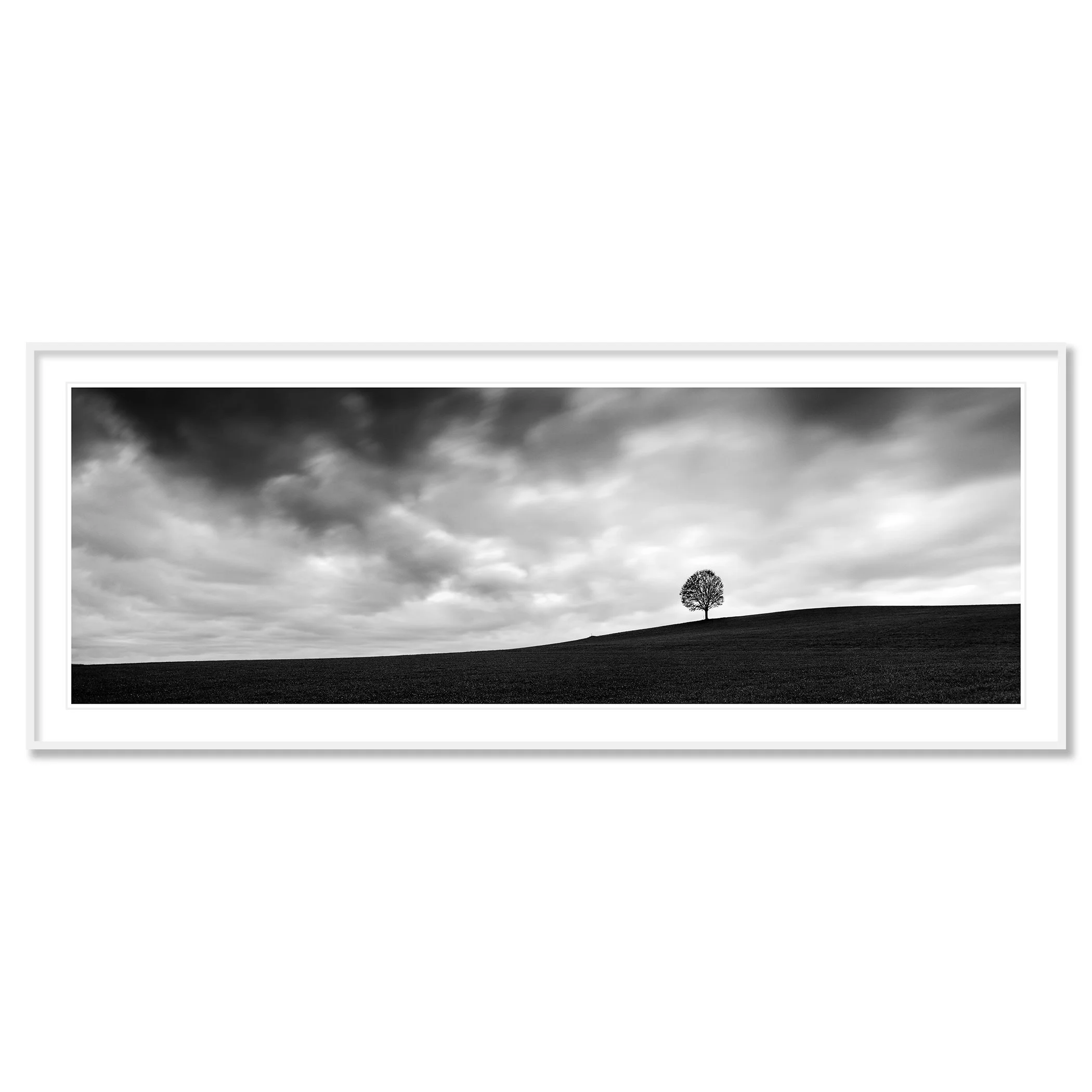 Gerald Berghammer - Black and white panorama landscape photography. A cloudy sky over a hill on a farmland with a single tree on the horizon. Classic framed white