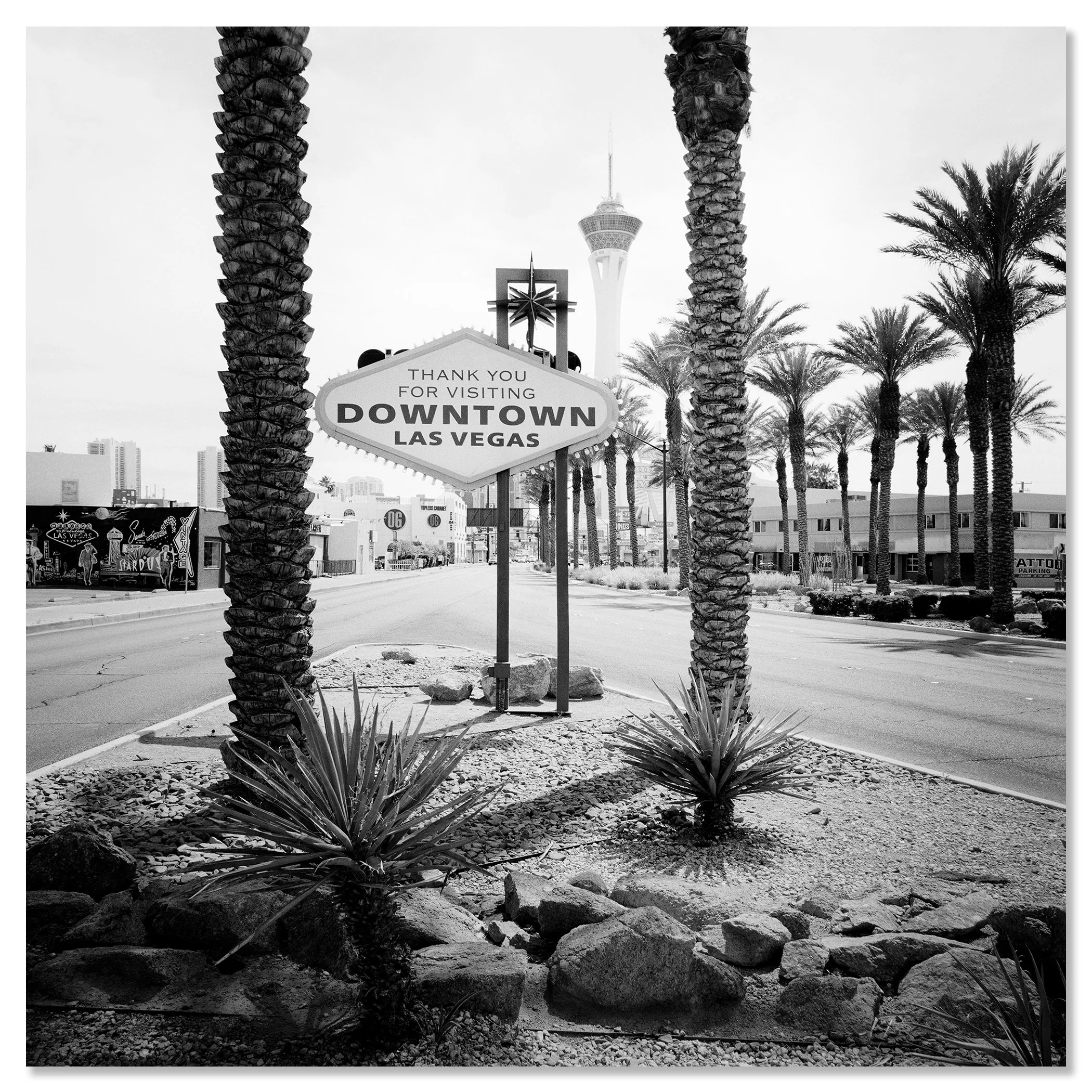 Gerald Berghammer - Black and white desert cityscape photography. Las Vegas Welcome Sign, with palm trees lining the street and the Stratosphere Tower. Chromaluxe frameless