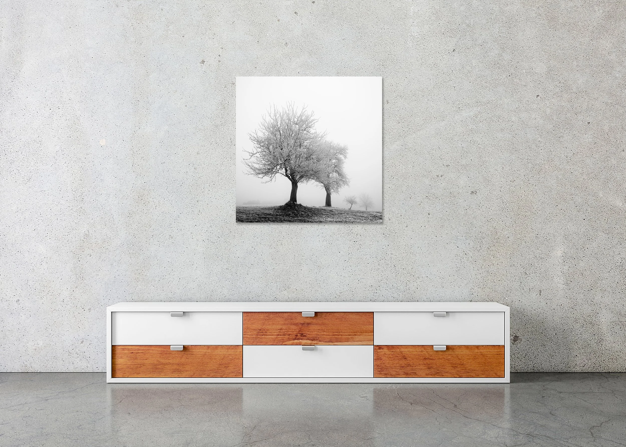 Frozen Landscape Study 1 displayed in a modern interior as a frameless black-and-white artwork mounted on aluminium Dibond by Gerald Berghammer.
