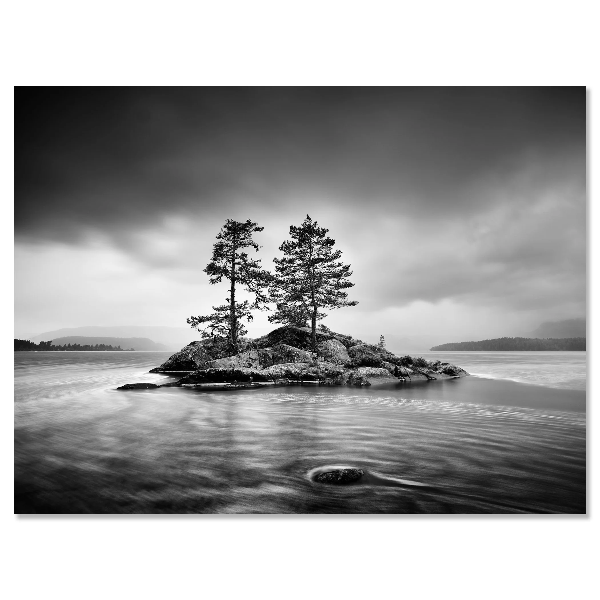 Trees on Rocky Island Study 1 – Norway, black-and-white photograph mounted on frameless Dibond