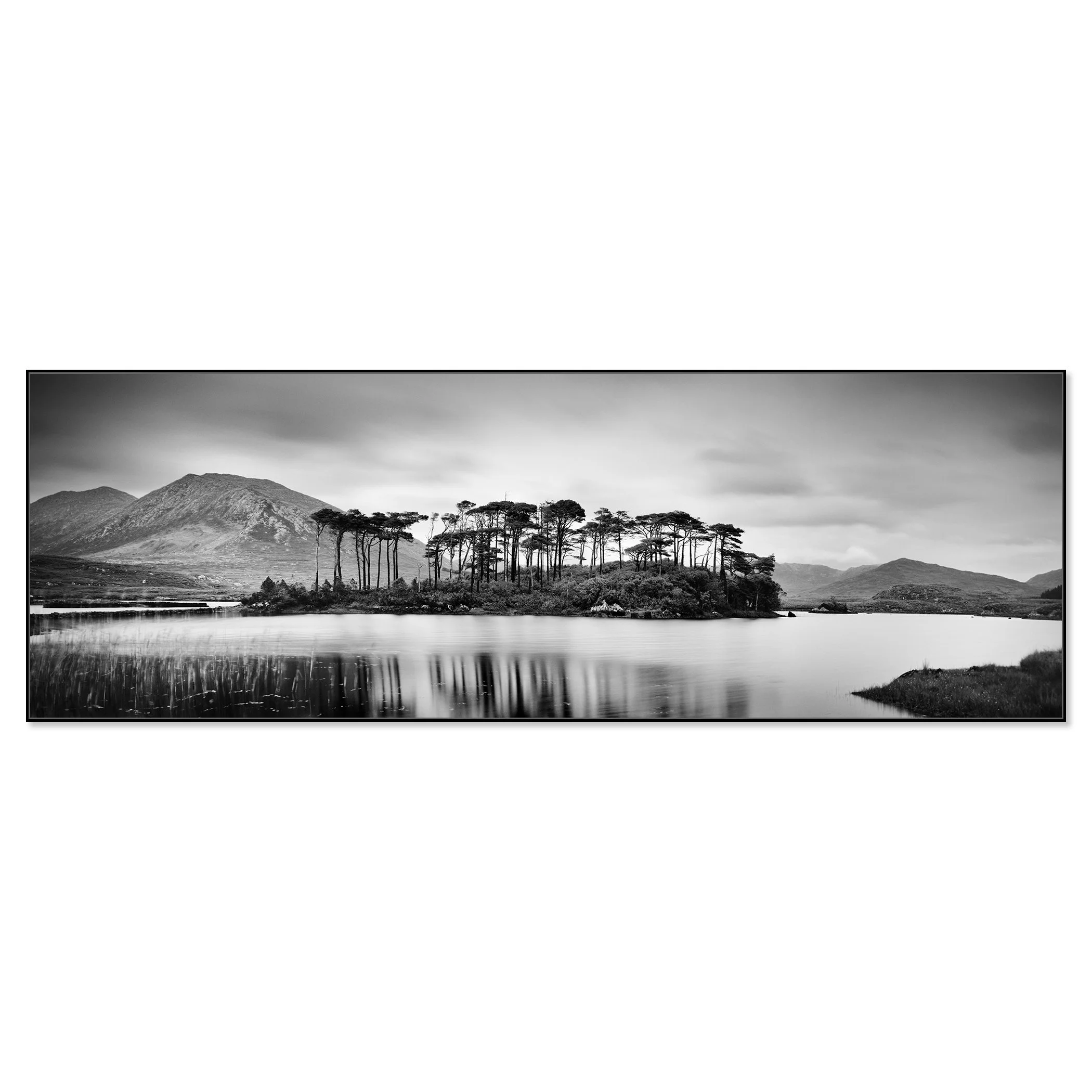 Gerald Berghammer - Black and white panorama landscape photography. Small island with tall trees, surrounded by water, mountains, and cloudy sky. Chromaluxe frameless
