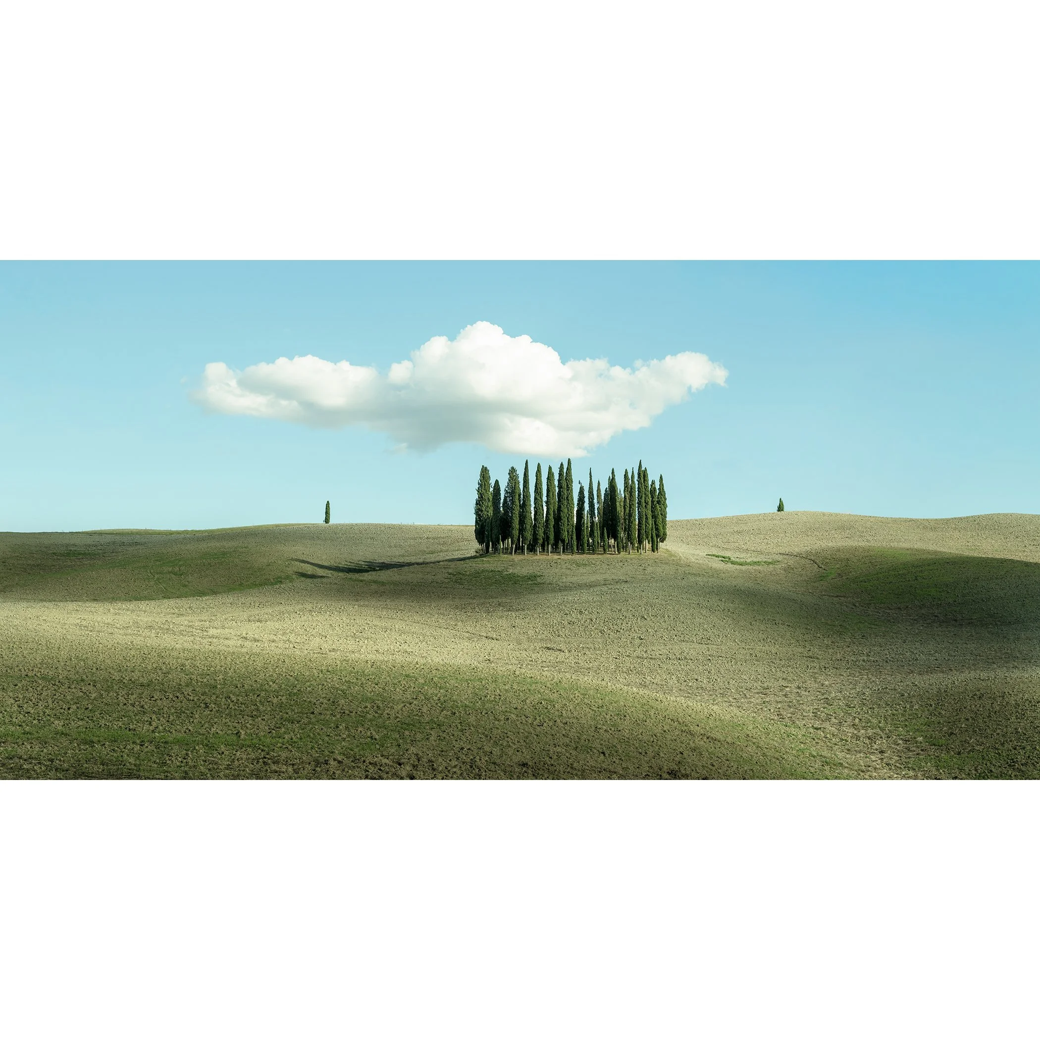 © 2023 Gerald Berghammer - Color minimalist photography. Open landscape with rolling hills, a small cluster of tall, thin green trees, and a large, fluffy cloud in the sky.