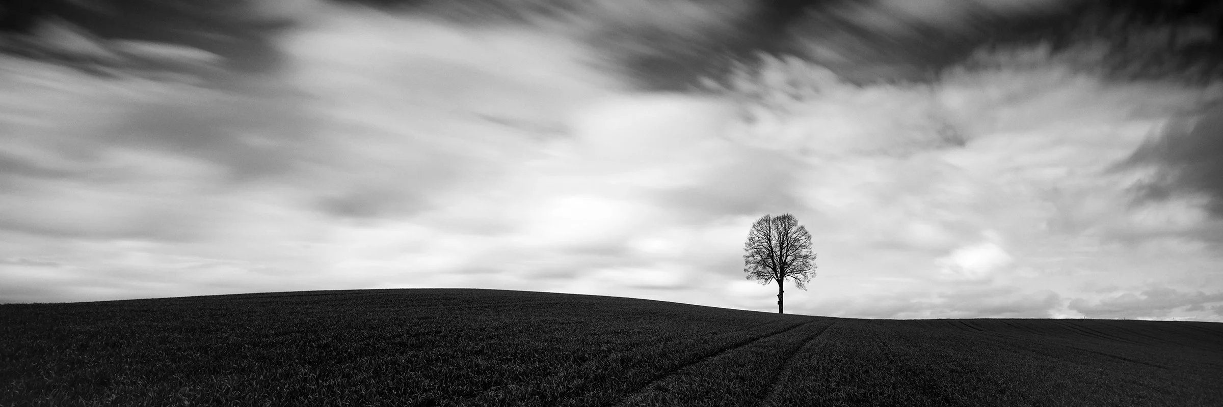 Farmland Panorama Study 1 by Gerald Berghammer, minimalist black-and-white panoramic photograph of a solitary tree in the Austrian landscape.