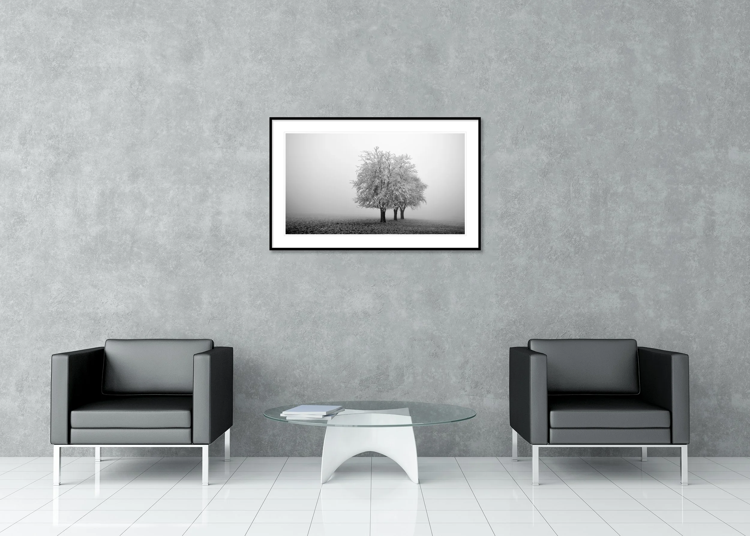 Black and white archival pigment print of three frost-covered leafless trees on a misty field in a classic frame with a mount
