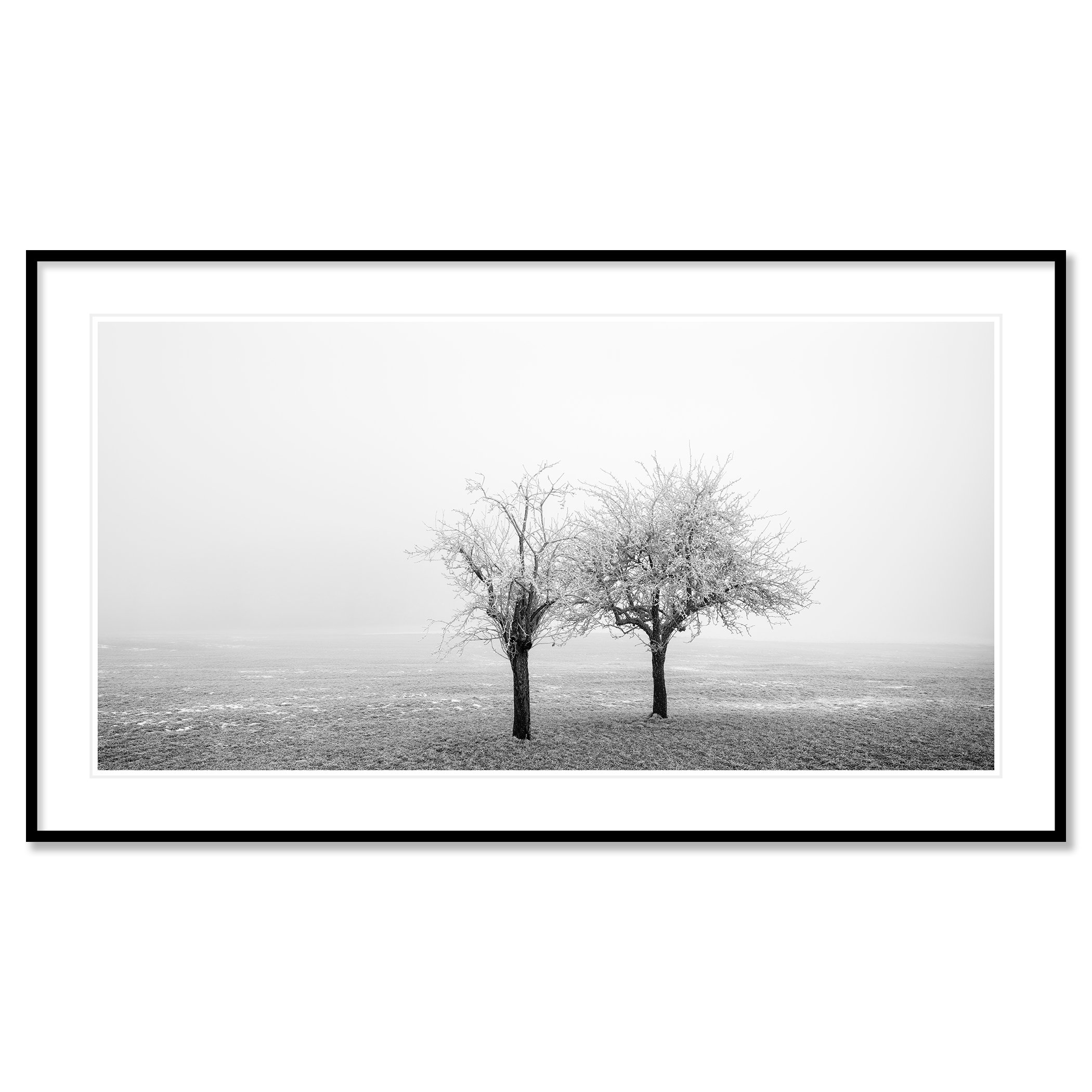 Frozen Trees in a Field Panorama Study 1 as an archival pigment print in a black aluminium frame with a white mount by Gerald Berghammer.
