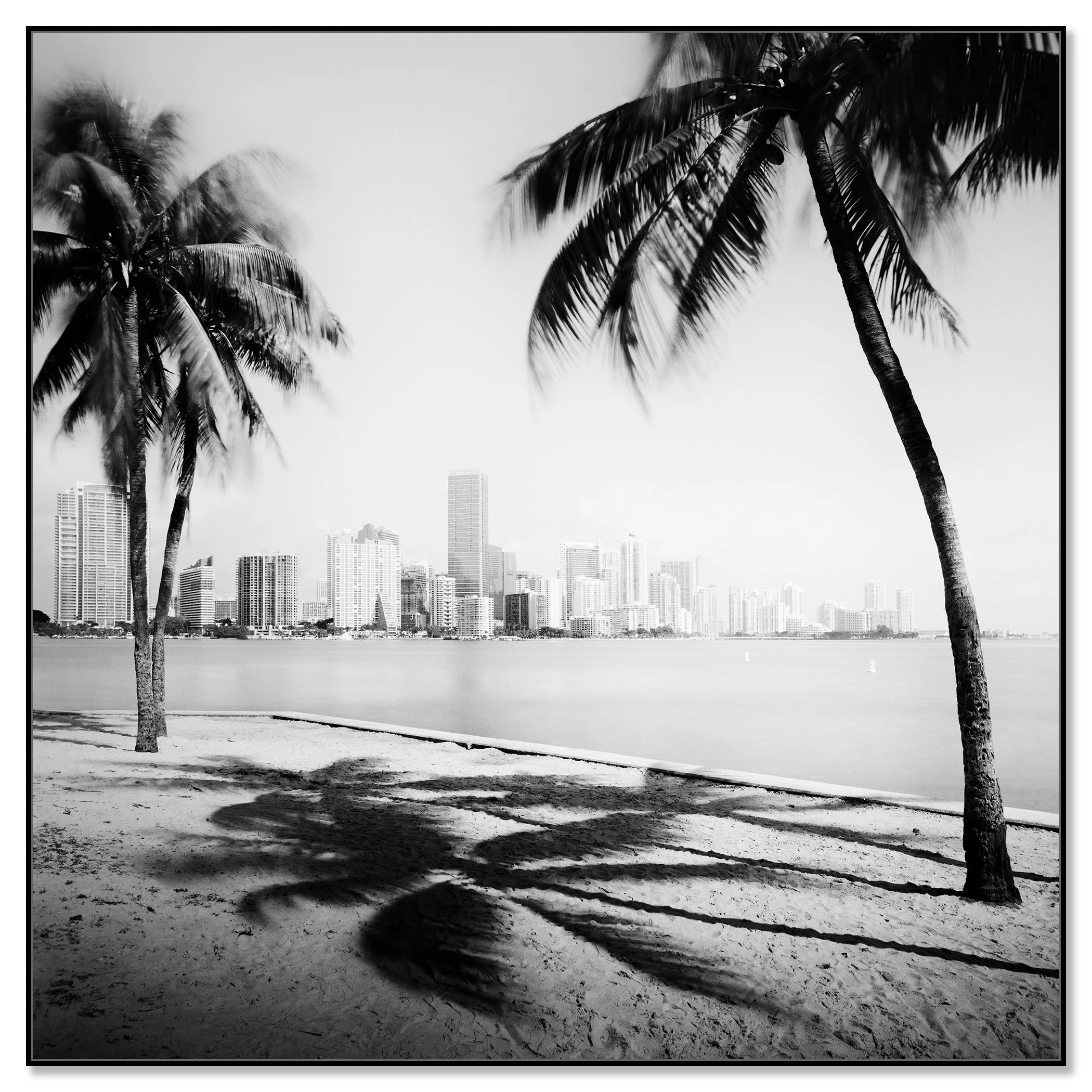 Gerald Berghammer - Black and white cityscape photography. Beach with palm trees in the foreground and the city skyline of Miami Beach in the background. Chromaluxe framed black
