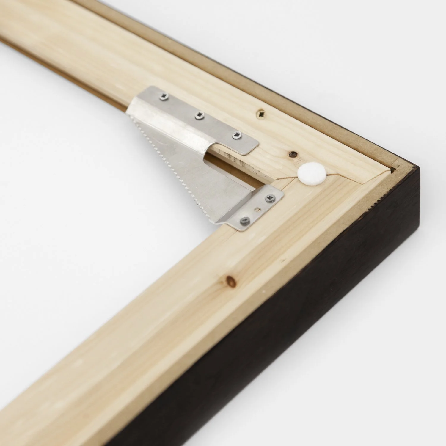 Close-up of the metal wall-mounting fitting on the reverse of Brassica Napus Study 1 – Gerald Berghammer.