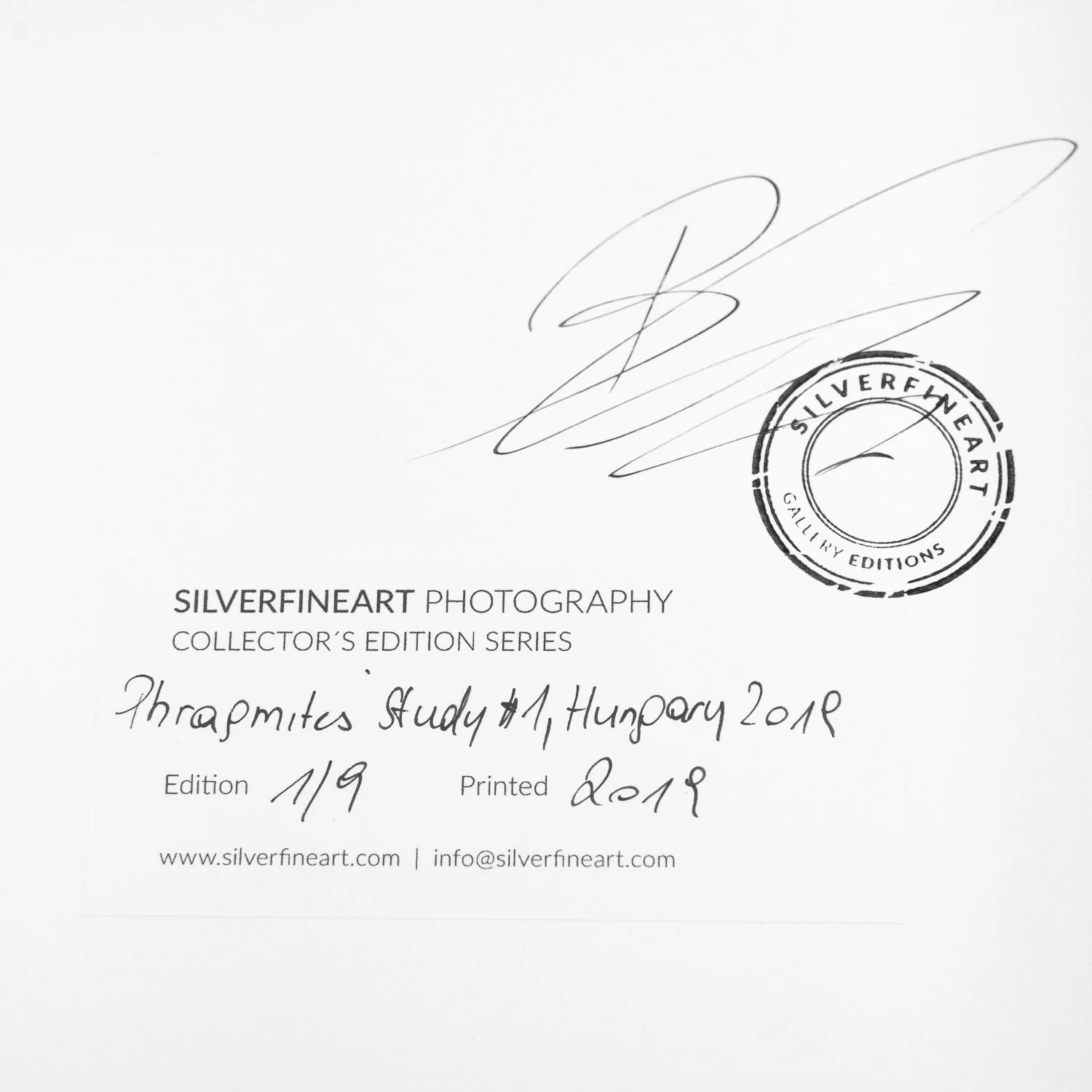 Gerald Berghammer's handwritten signature, Phragmites Study 1 title, edition 1/9, 2018 date and SILVERFINEART Gallery stamp on the reverse.