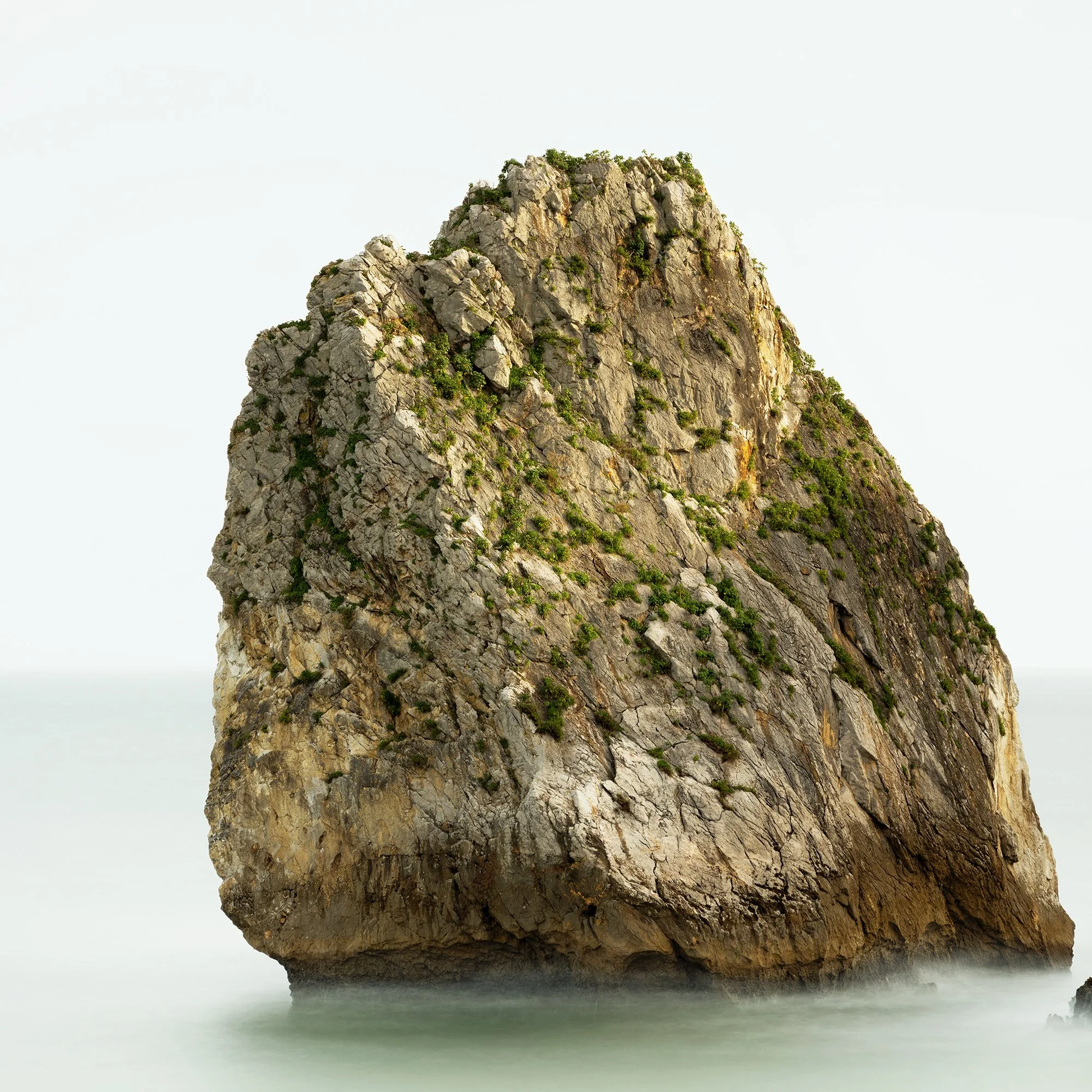 Detail view of Two Rocks in the Sea Study 1 by Gerald Berghammer, showing weathered sea-stack rock textures and vegetation.