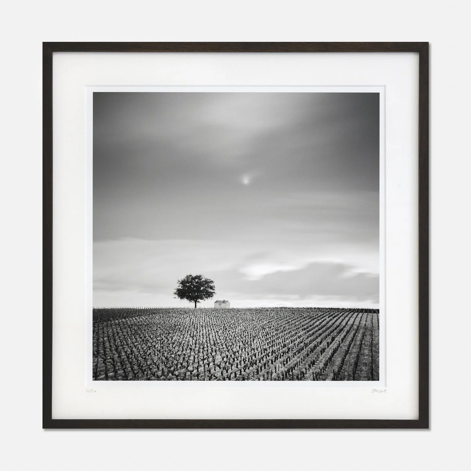 Framed Champagne Paradise, France by Gerald Berghammer, a black-and-white vineyard photograph with a solitary tree and small building.