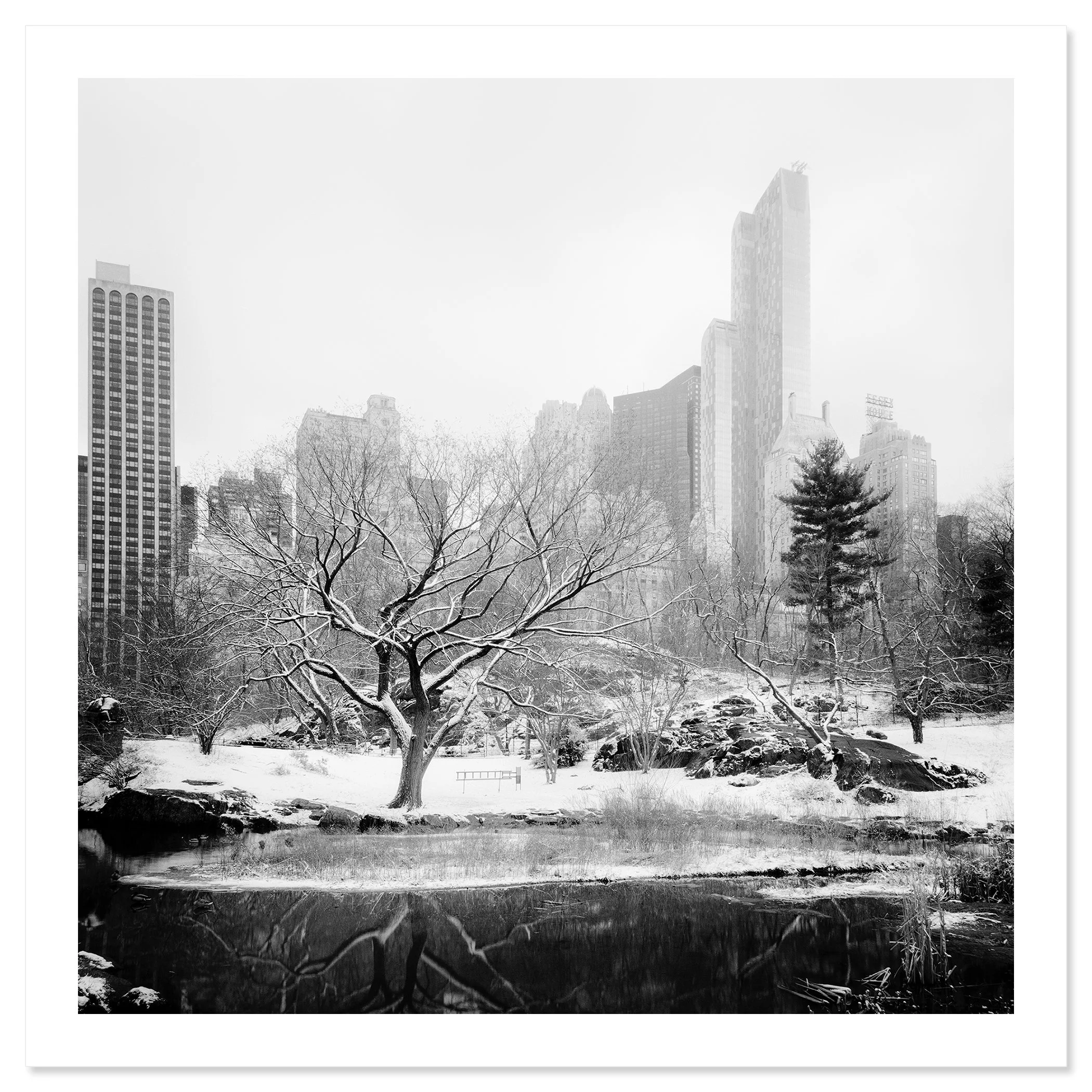 Snow-Covered Central Park Study 7 by Gerald Berghammer, unframed black-and-white fine art print with a white border.