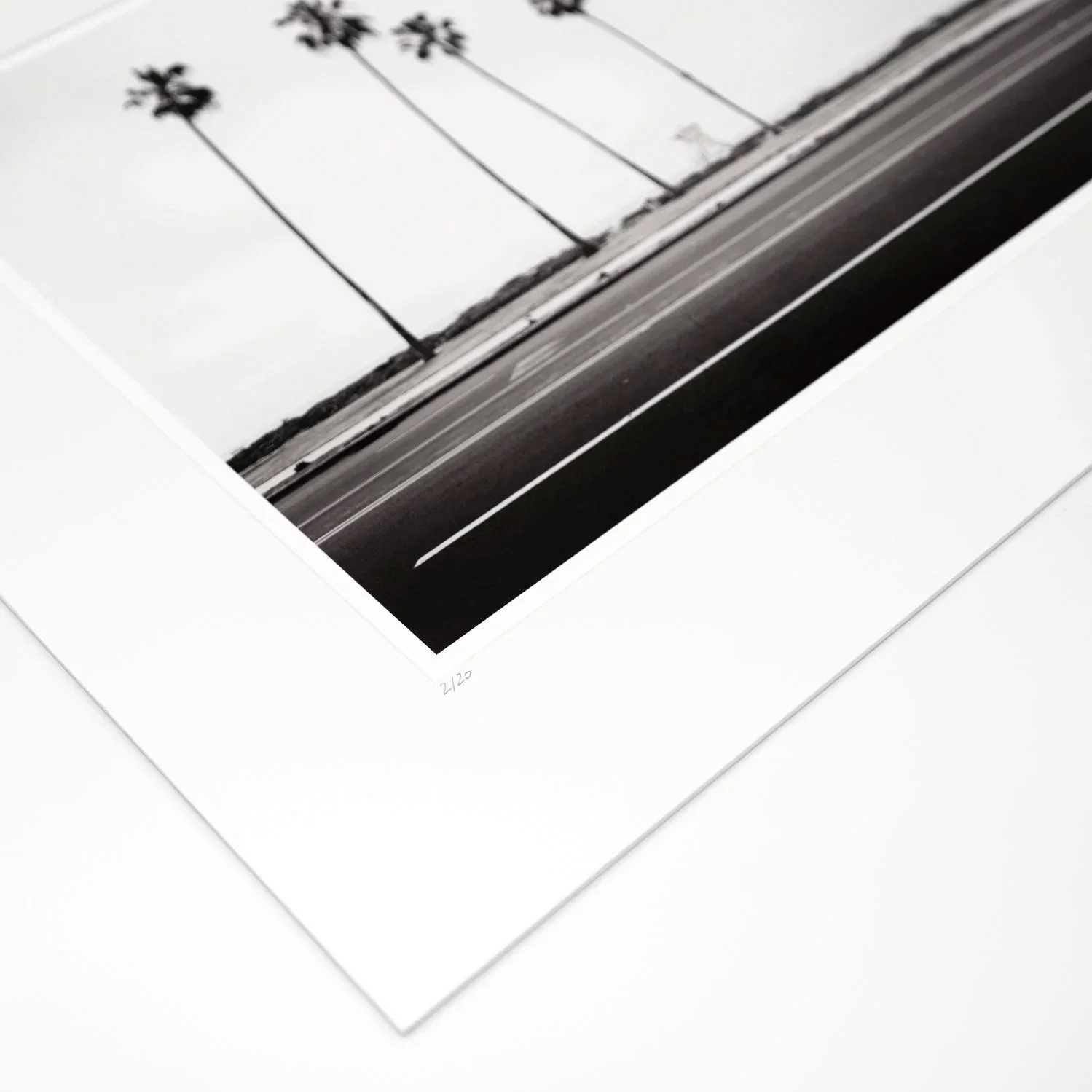 Detail of the handwritten edition number 2/20 on the mount – Palm Tree Study 4 by Gerald Berghammer.