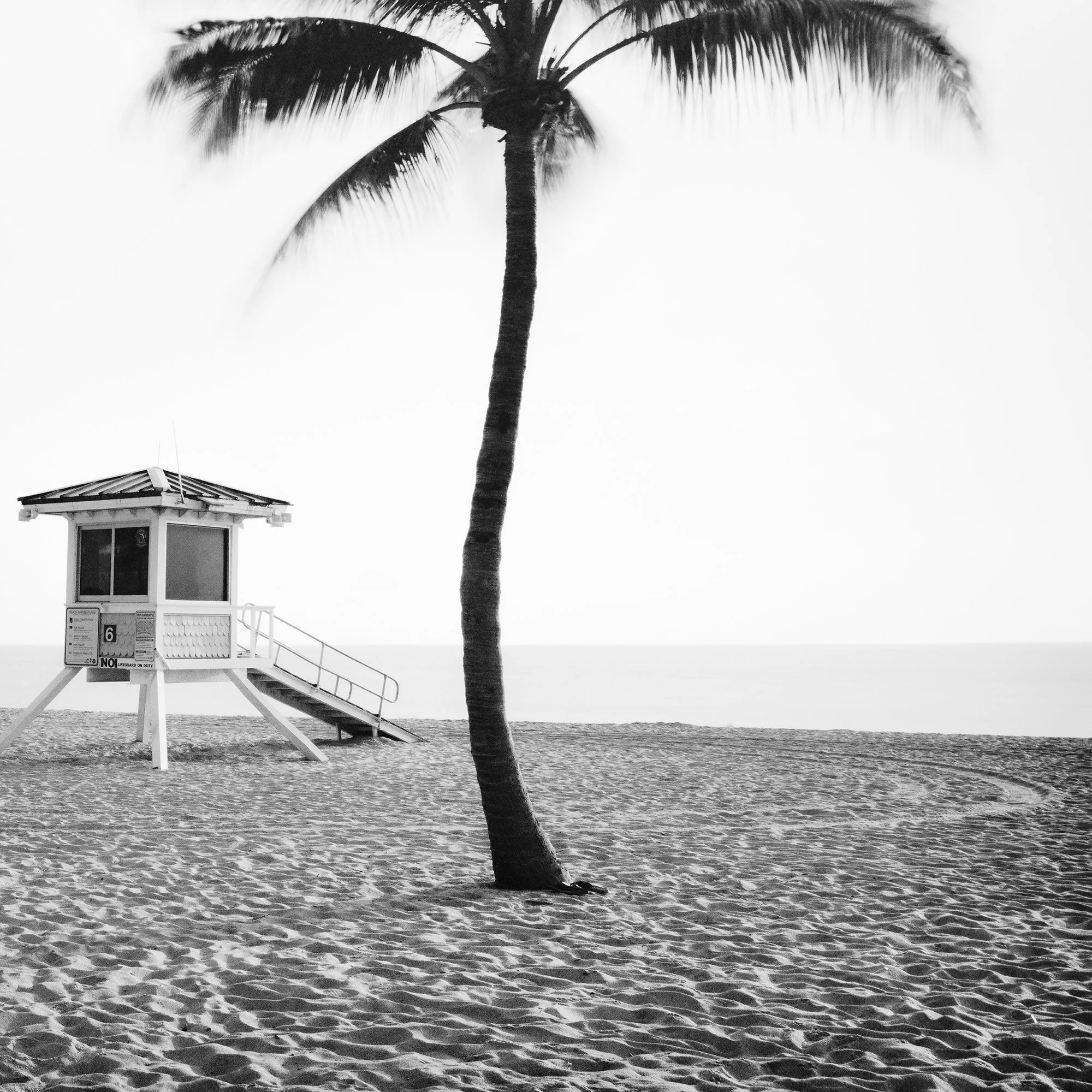 Fort Lauderdale Beach, Study 4 by Gerald Berghammer, black-and-white detail of a tall palm tree beside a lifeguard tower and the Atlantic horizon.