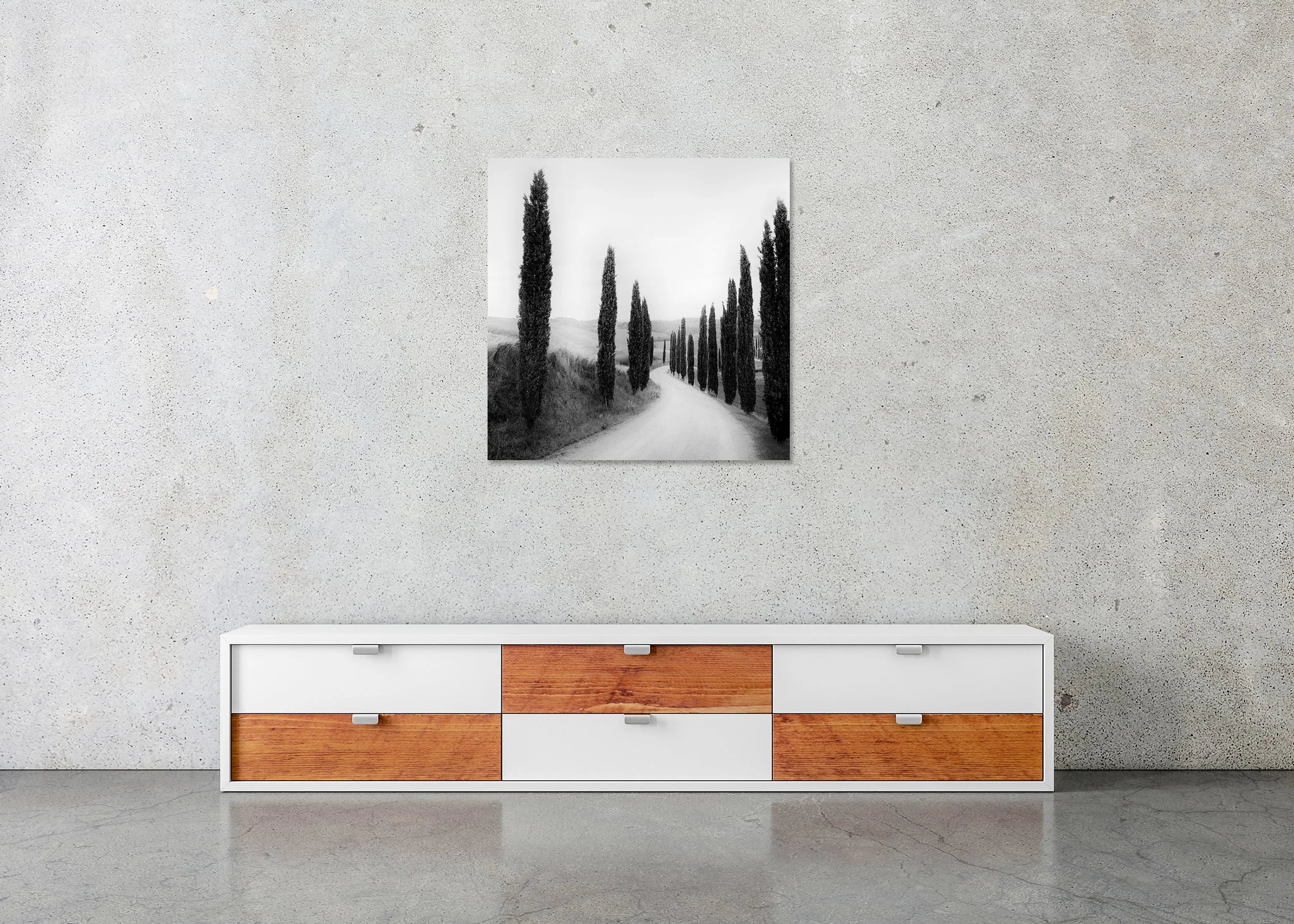 Path Lined with Cypress Trees by Gerald Berghammer displayed in a contemporary interior as a frameless Dibond artwork.