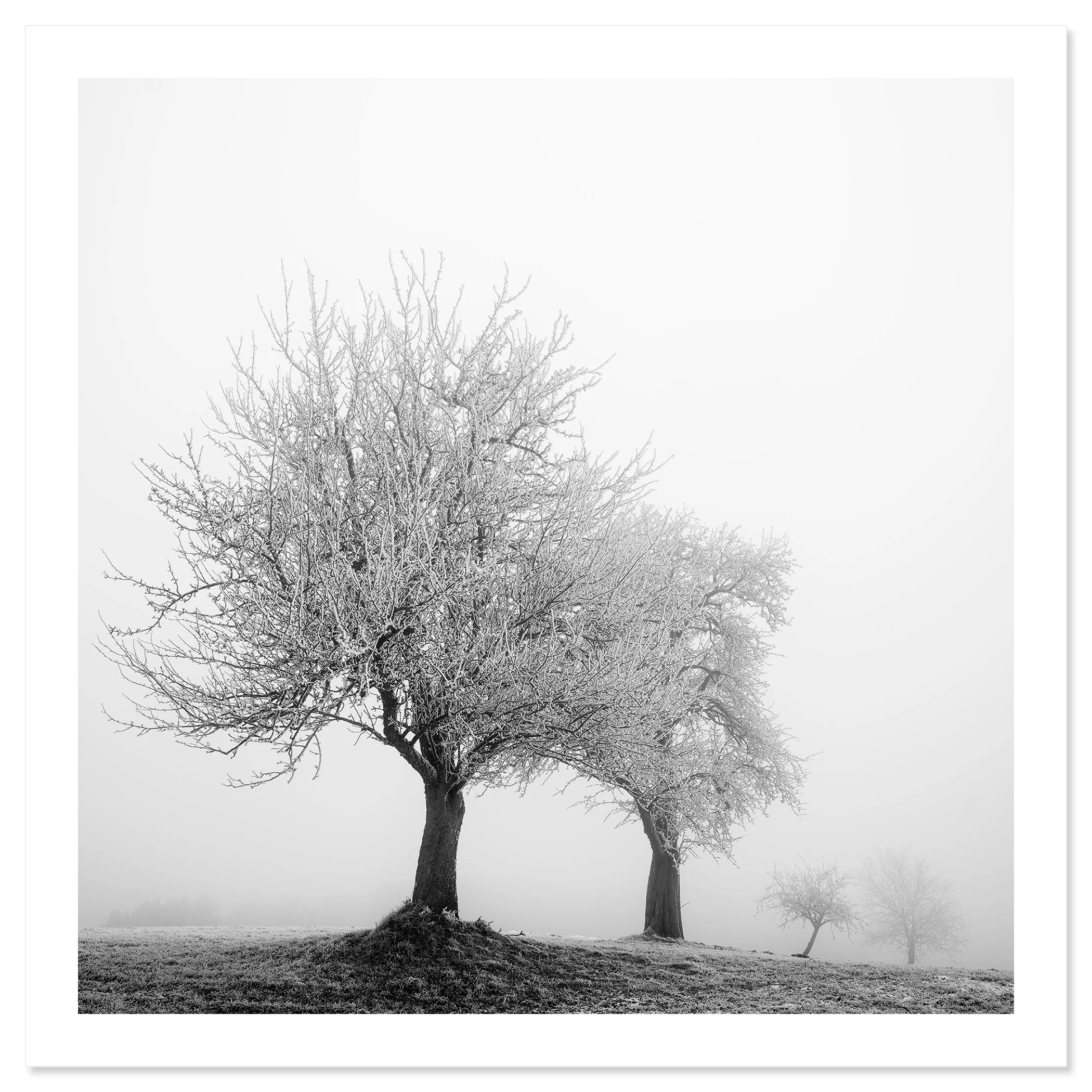Frozen Landscape Study 1, black-and-white winter photograph as a fine art print by Gerald Berghammer.