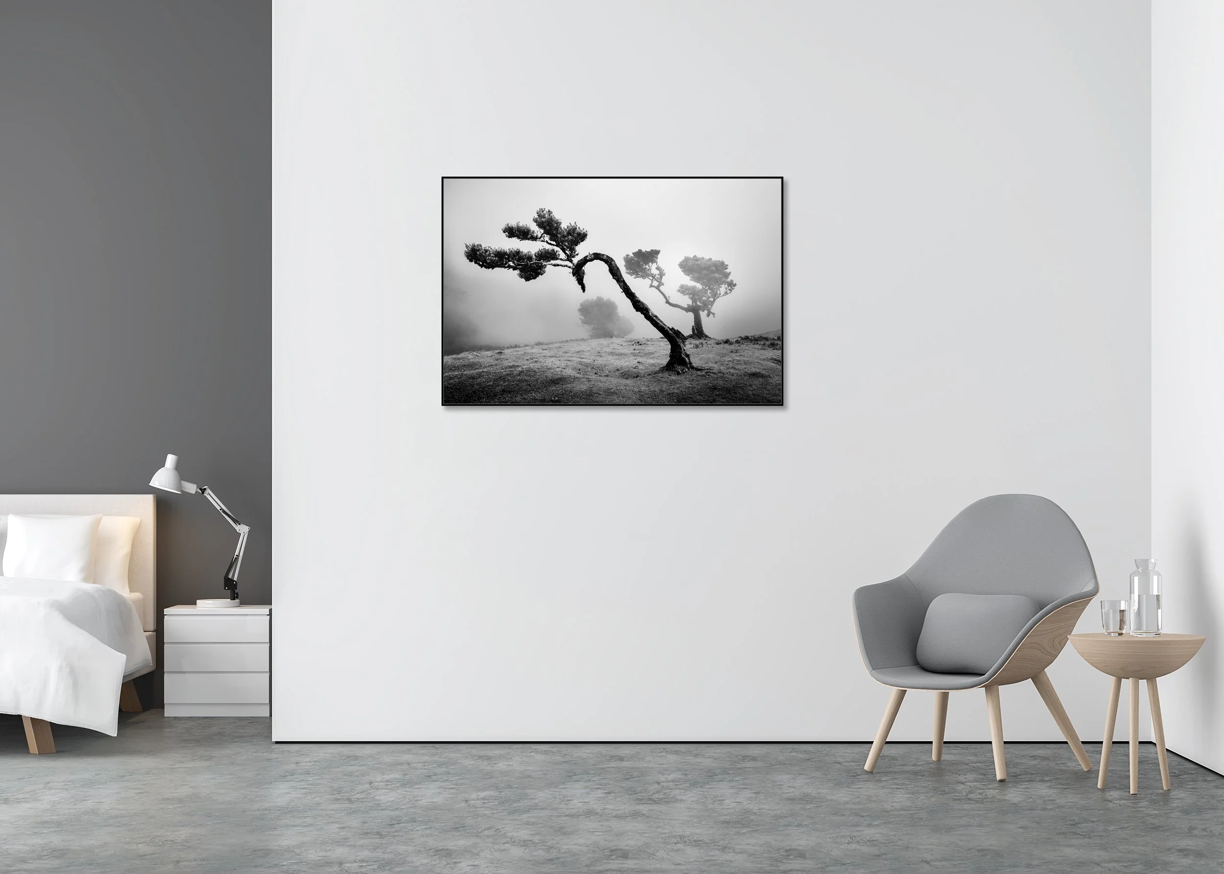 Ancient Laurisilva Forest Study 2 displayed in a modern interior, mounted on aluminium Dibond in a black ArtBox frame. Photo by Gerald Berghammer.