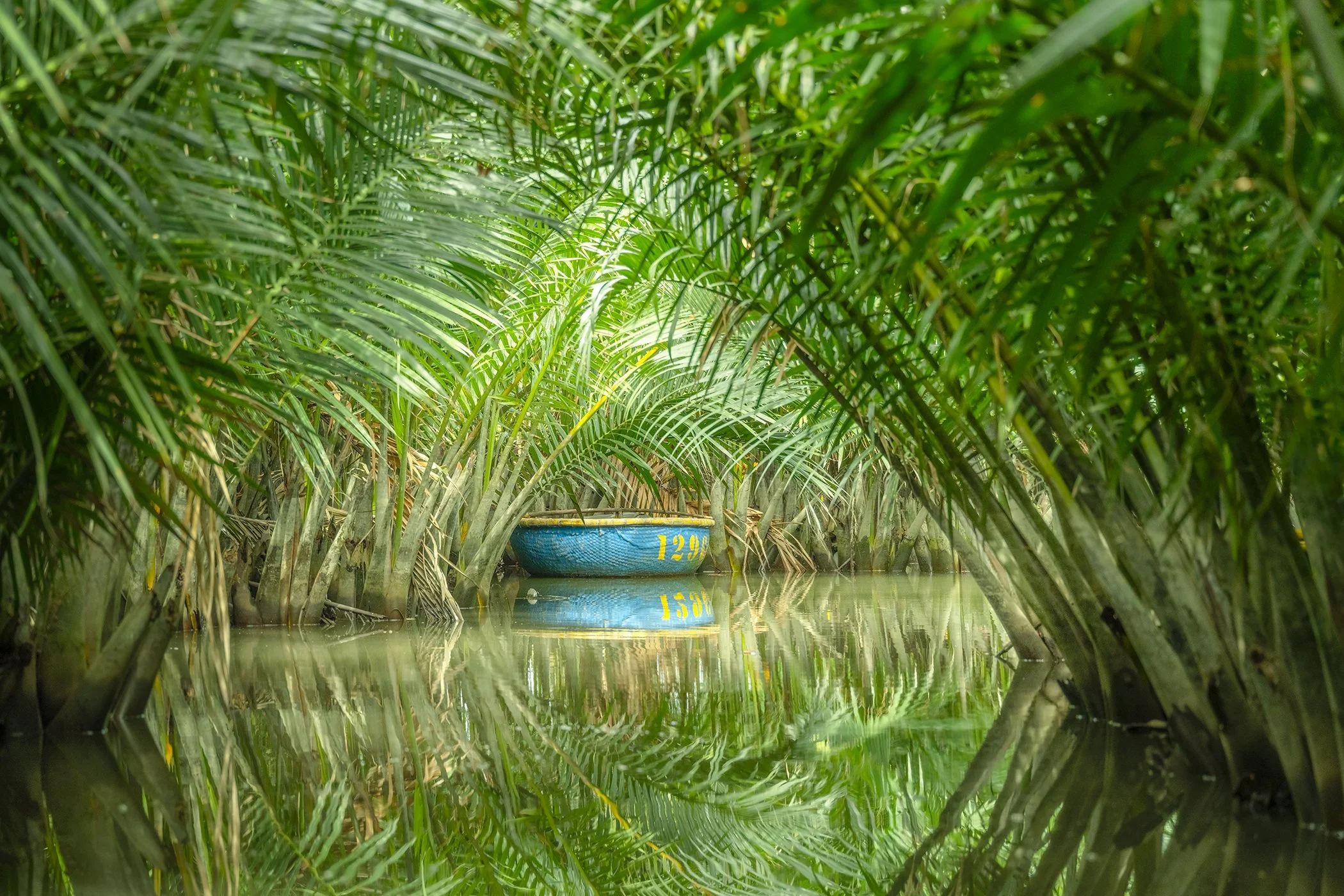 Blue boat beneath arching nipa palms on a calm Vietnamese waterway with mirror-like reflections. Photo by Gerald Berghammer.