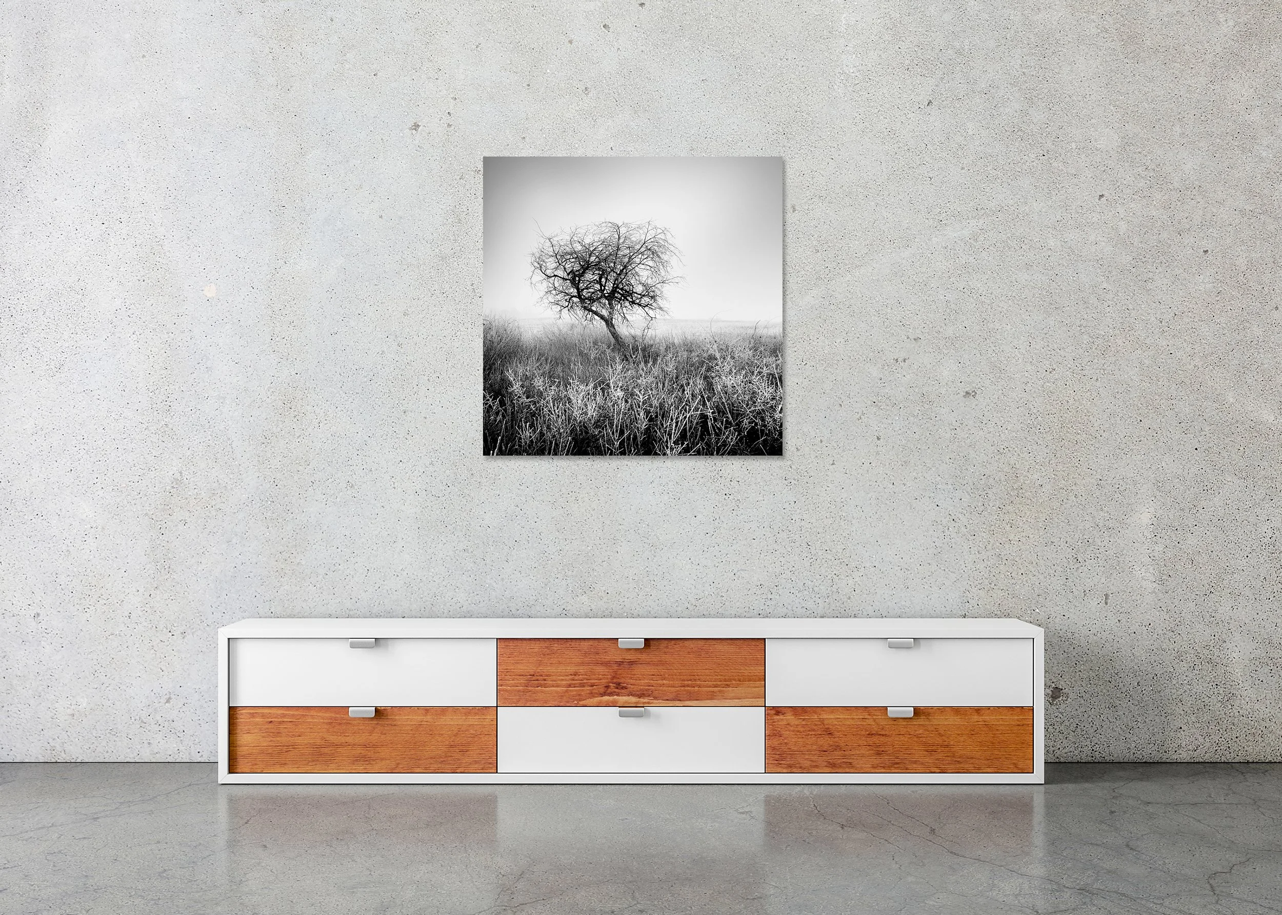 Tree in Hoarfrost Study 1 displayed in a modern interior as a frameless black-and-white artwork mounted on aluminium Dibond by Gerald Berghammer.