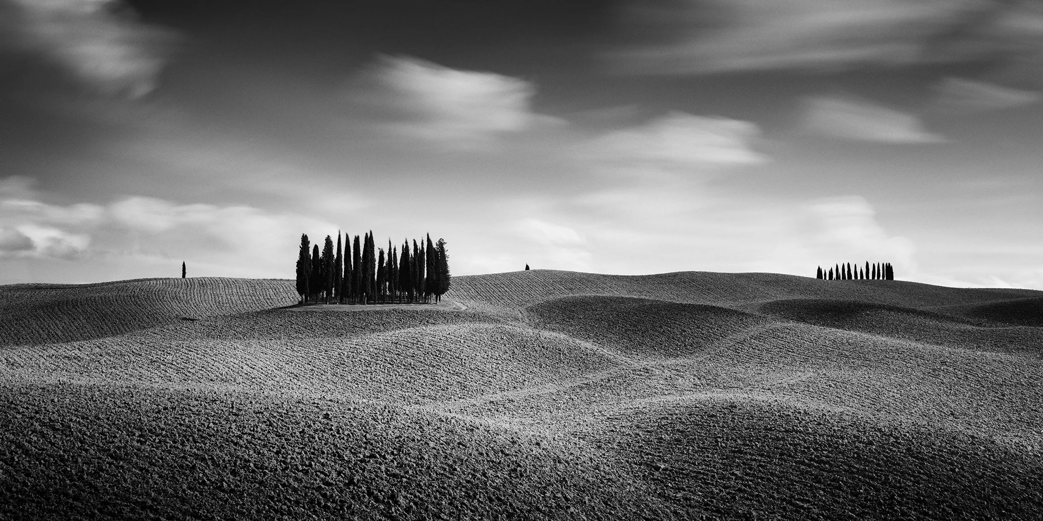Cypress Hill Panorama Study 3 by Gerald Berghammer, black-and-white fine art landscape photograph of rolling Tuscan hills and cypress trees in Italy.