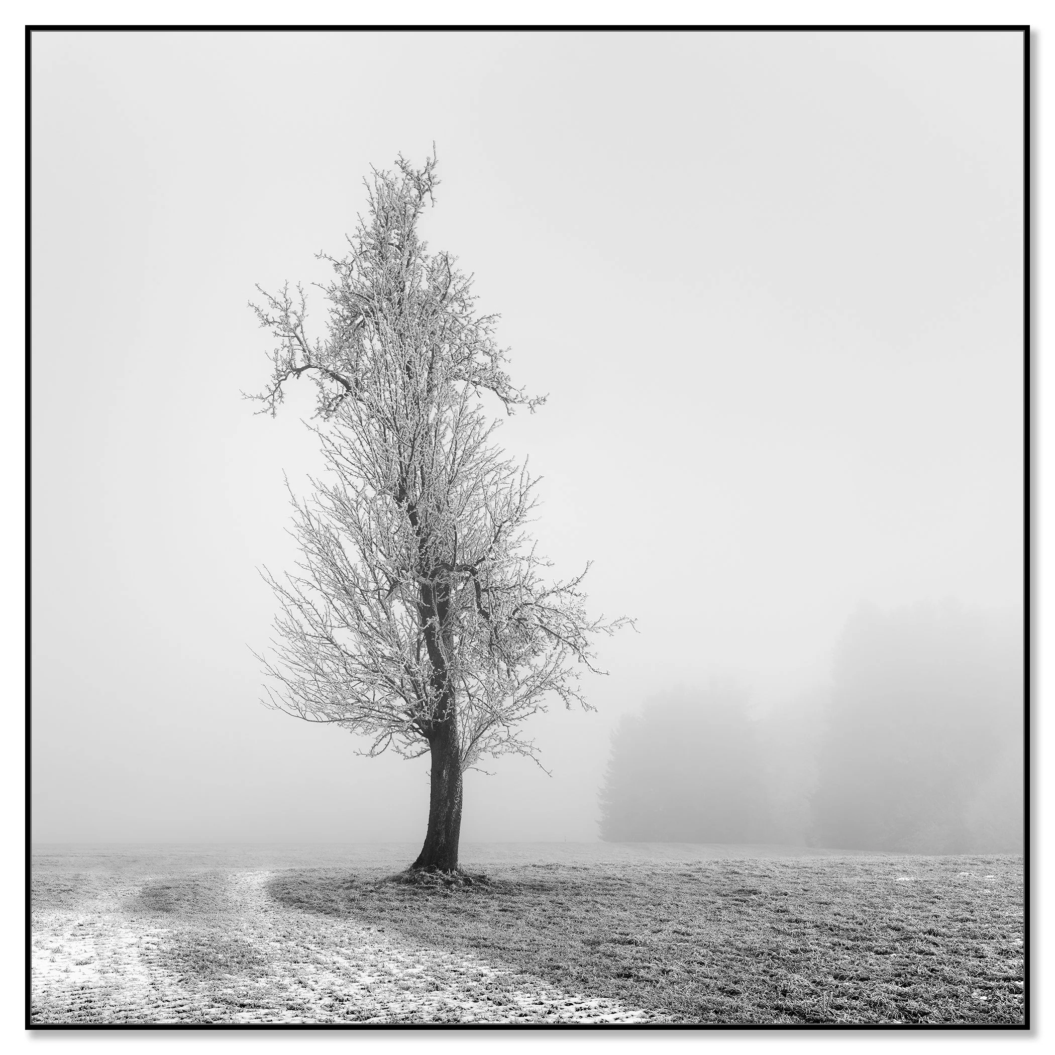 Frozen Farmland Study 1 mounted on aluminium Dibond in a black ArtBox frame by Gerald Berghammer.