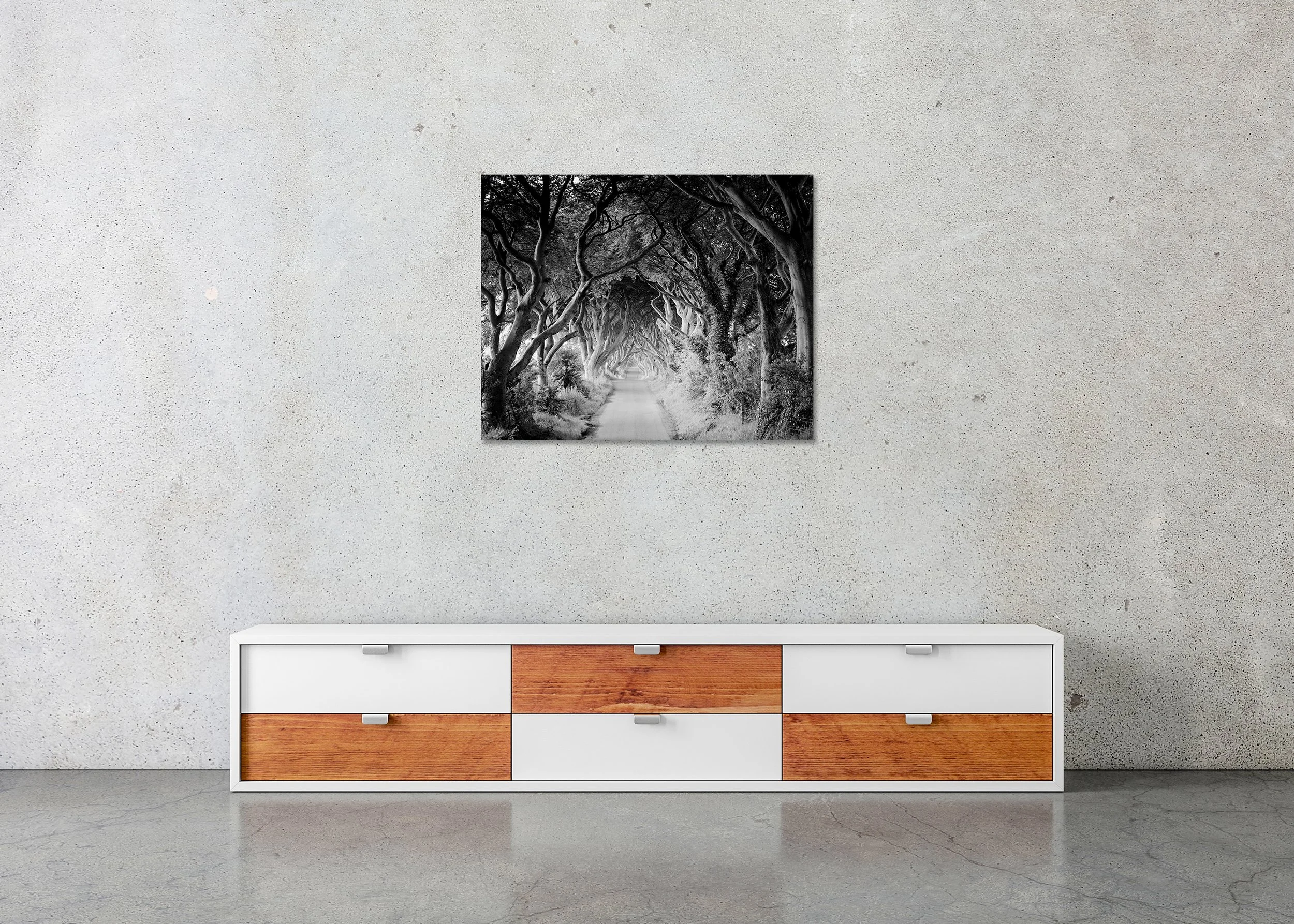 The Dark Hedges Study 3 displayed in a modern interior as a frameless black-and-white artwork mounted on aluminium Dibond by Gerald Berghammer.