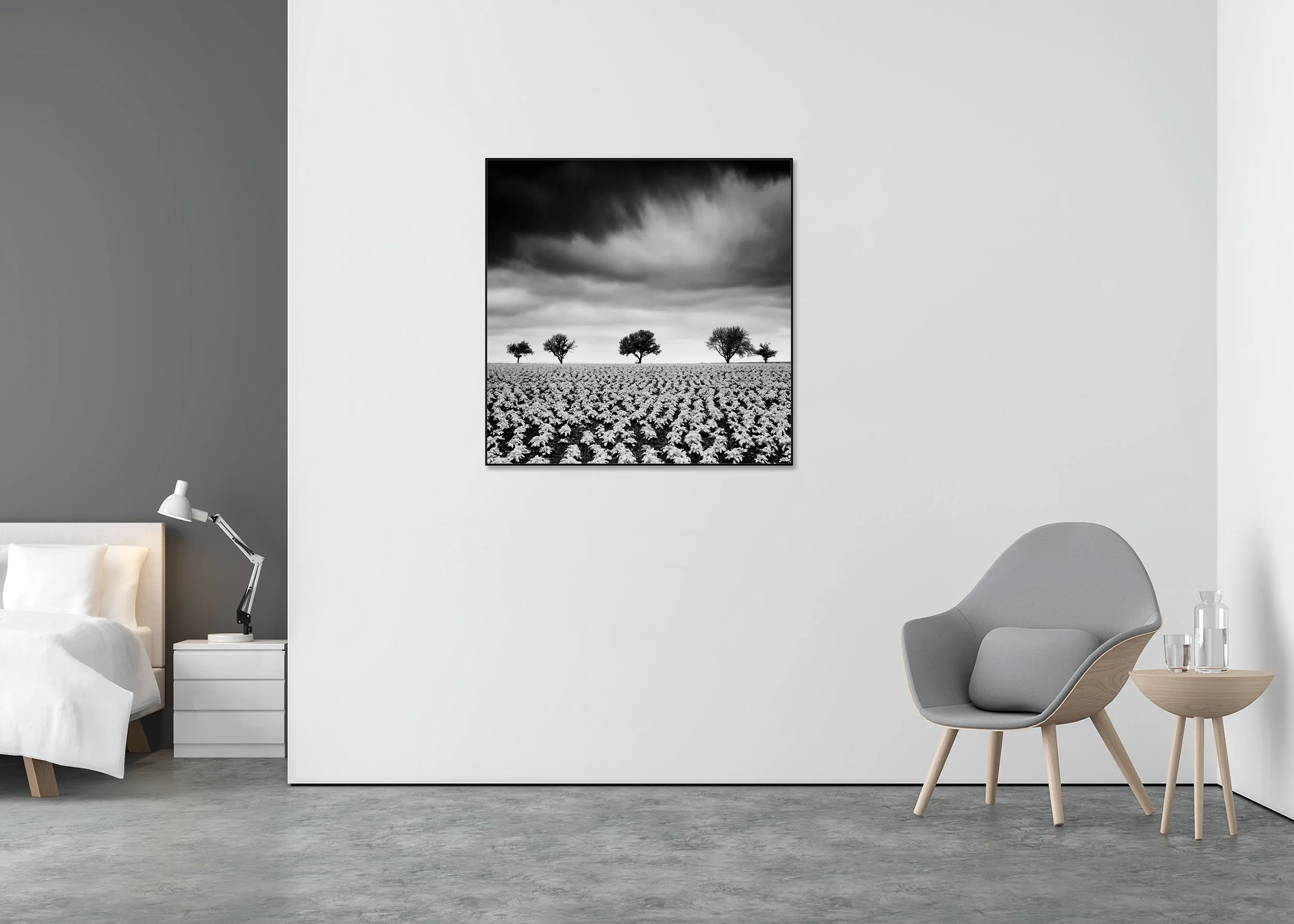 Potato Field with Cherry Trees Study 2 displayed in a modern interior as a black-and-white Dibond print in a black aluminium ArtBox frame by Gerald Berghammer.