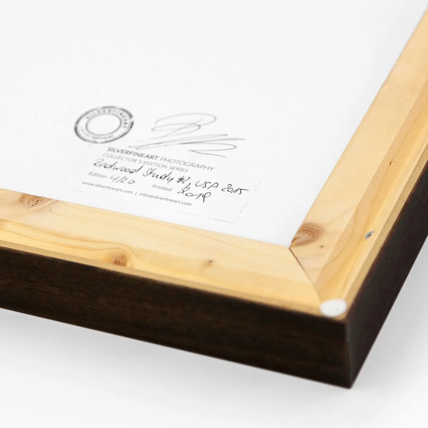 Close-up of Gerald Berghammer's signature and date on Redwood Study 2, presented in a dark-brown wooden frame.