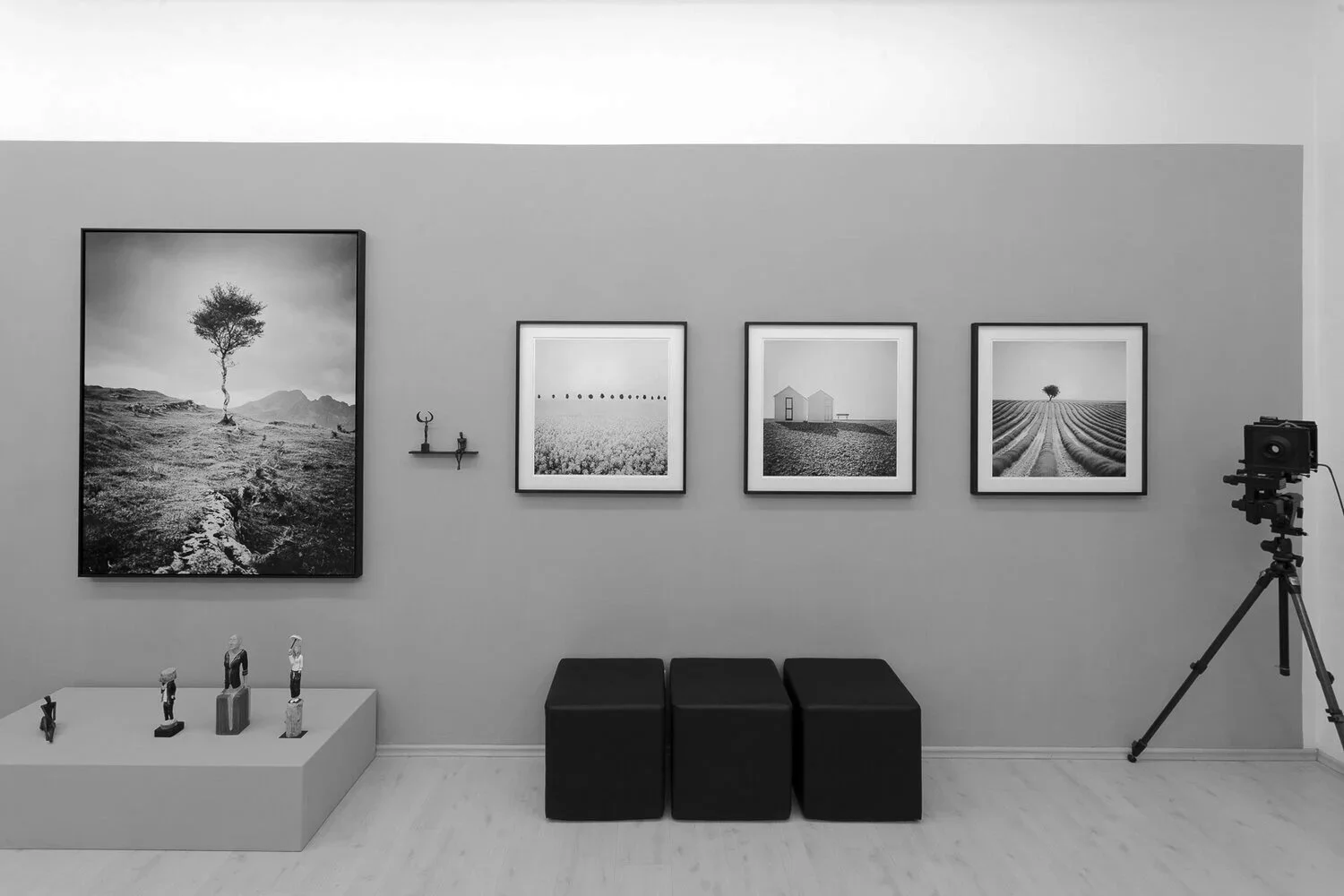 Black-and-white landscape photographs by Gerald Berghammer displayed alongside sculptures and a vintage camera.
