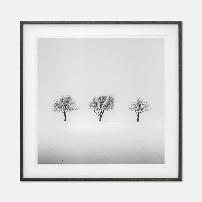 Trees in snowy Field Study 2, Austria, Edition 1/9