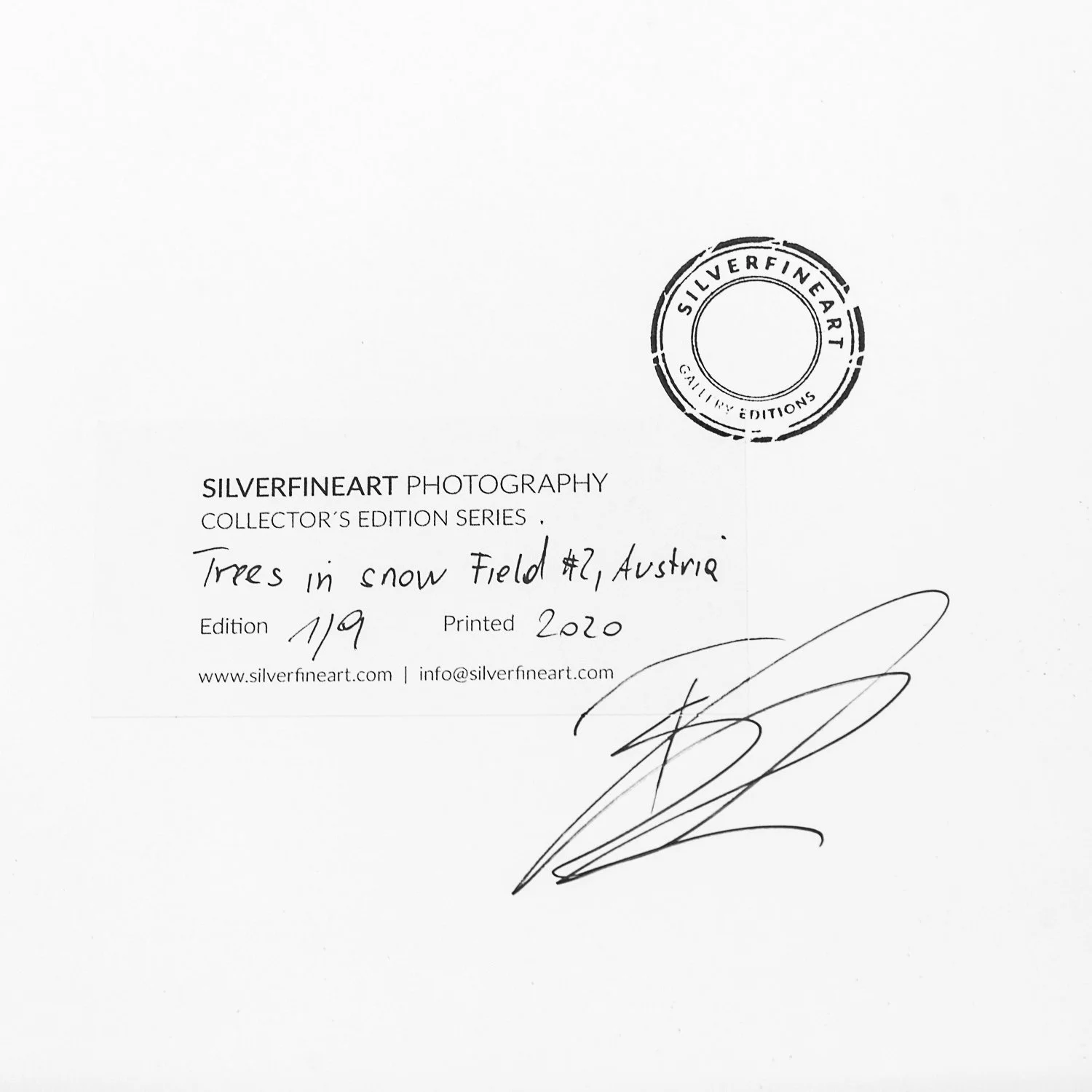 Gerald Berghammer's signature, edition 1/9, 2020 print date and SILVERFINEART gallery stamp on the artwork's reverse.