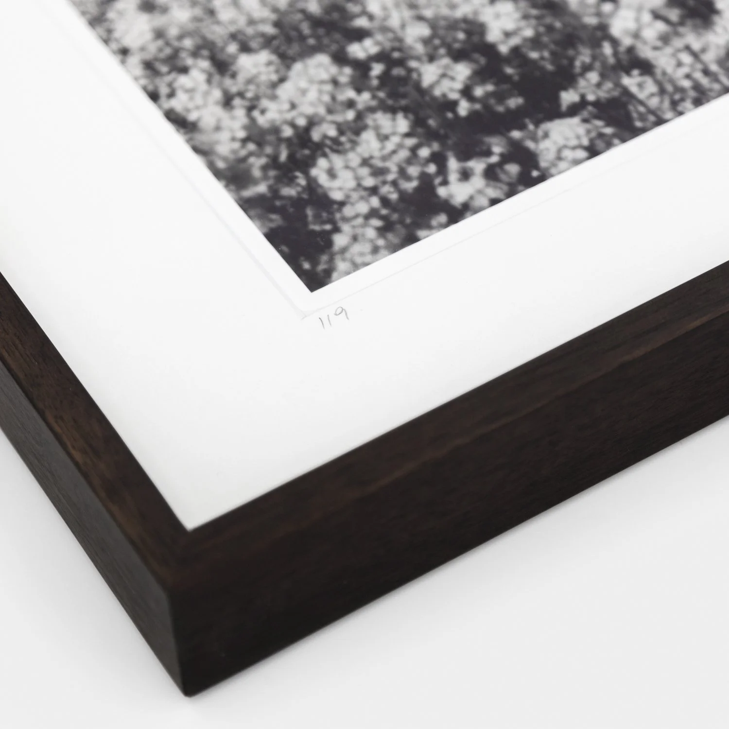 Detail of handwritten edition number 1/9 and dark-brown wooden frame on Brassica Napus Study 1 – Gerald Berghammer.