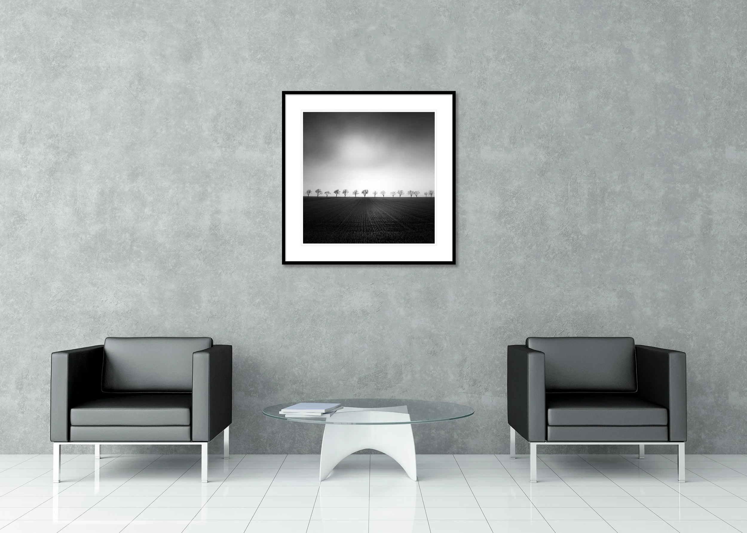 Cherry Tree Avenue, Study 2 – black-and-white archival pigment print in an aluminium frame with a white mount.