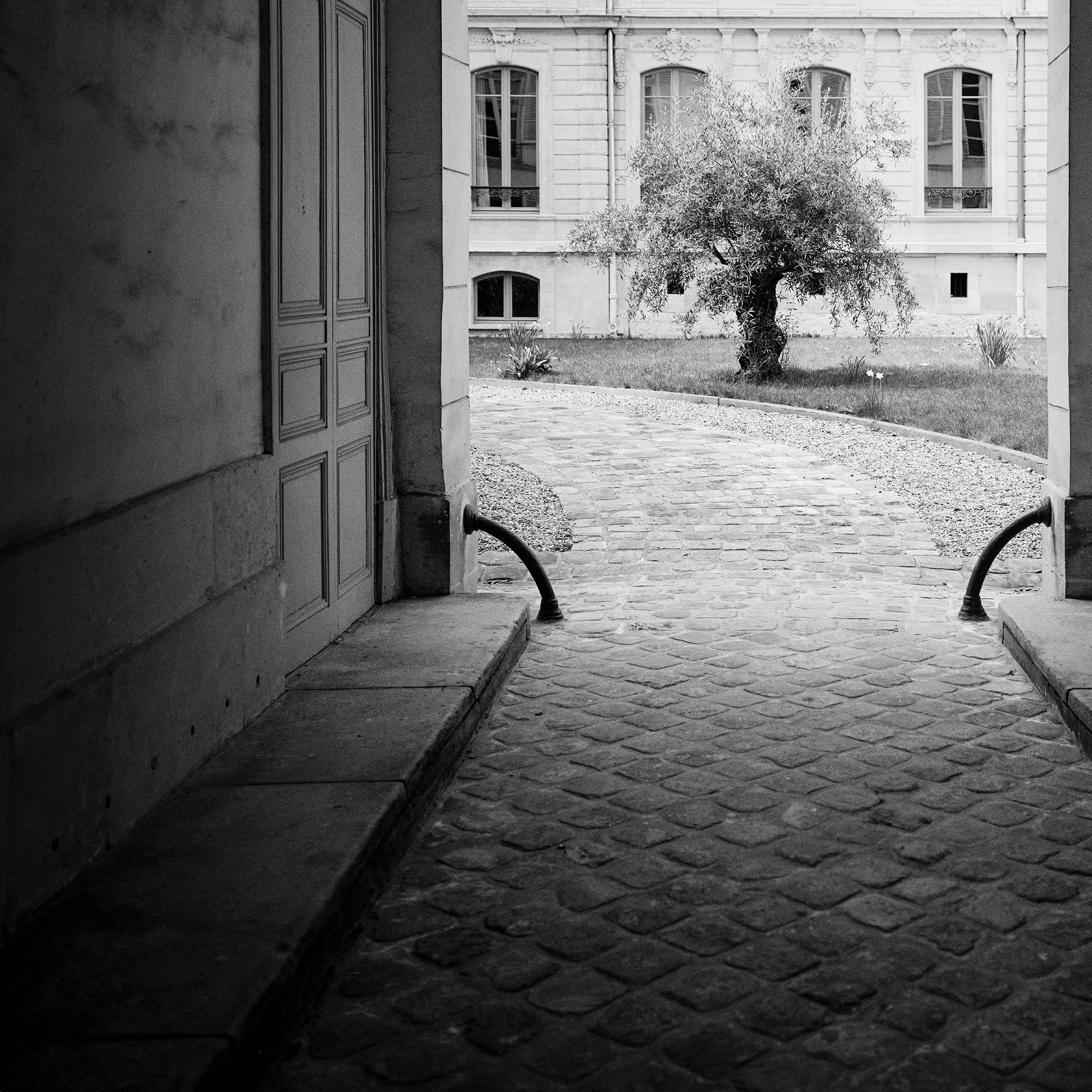 Detail view of Tree in the Courtyard, an analogue black-and-white photograph from Paris by Gerald Berghammer.