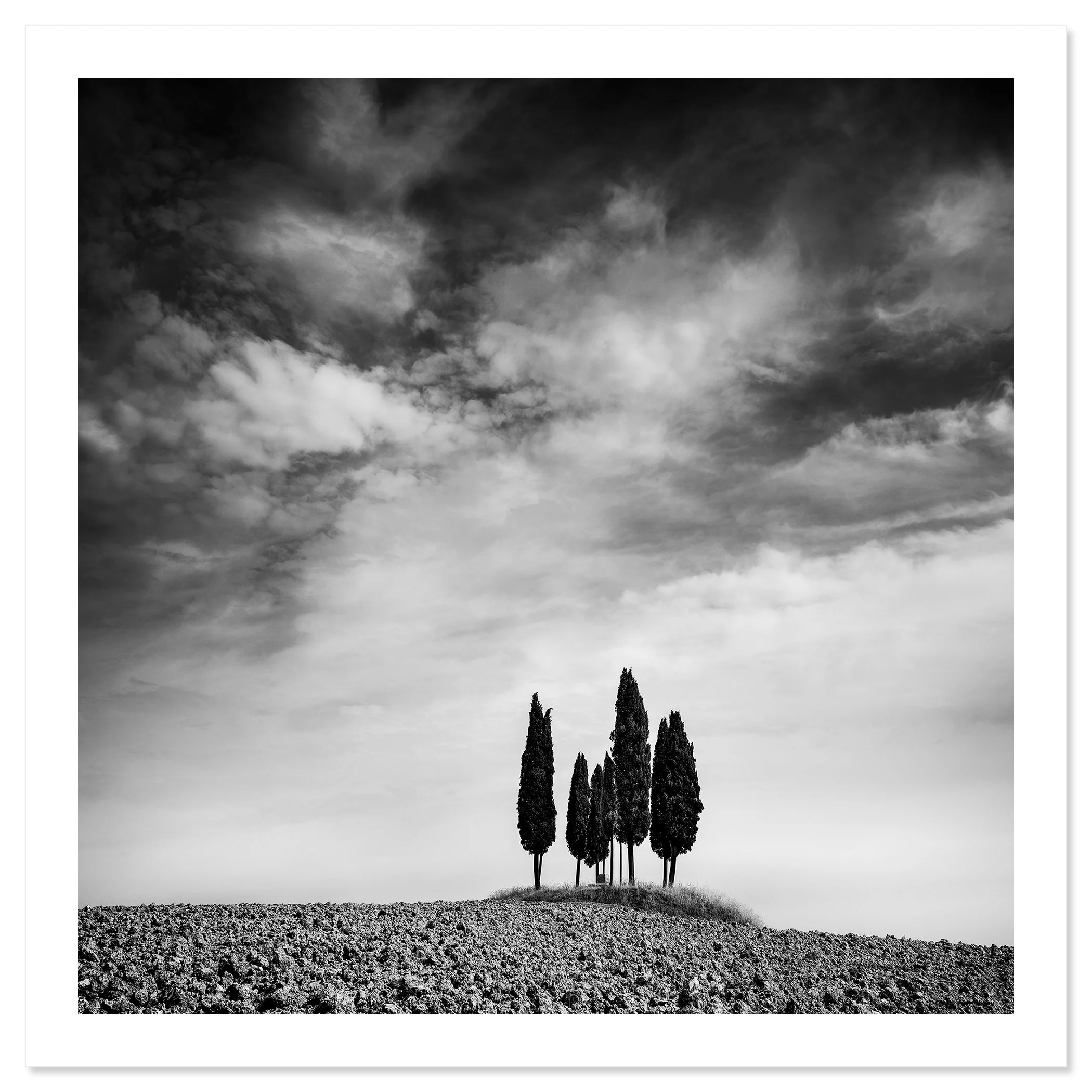 Circle of Cypress Trees Study 2 shown as an archival fine art print with a white border by Gerald Berghammer.