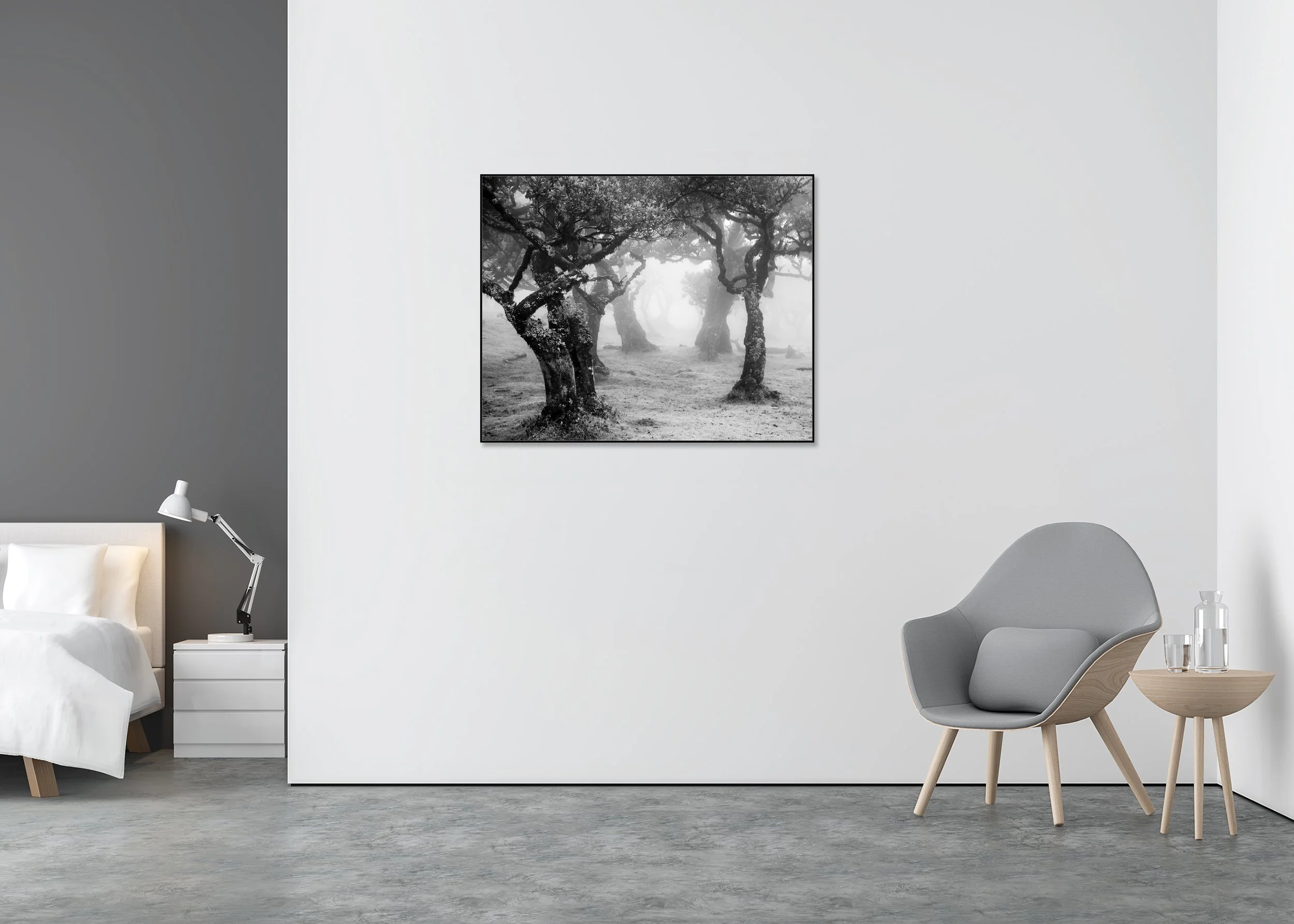 Mystical Forest Clearing – Madeira, black-and-white photograph in an aluminium ArtBox displayed in a contemporary interior.