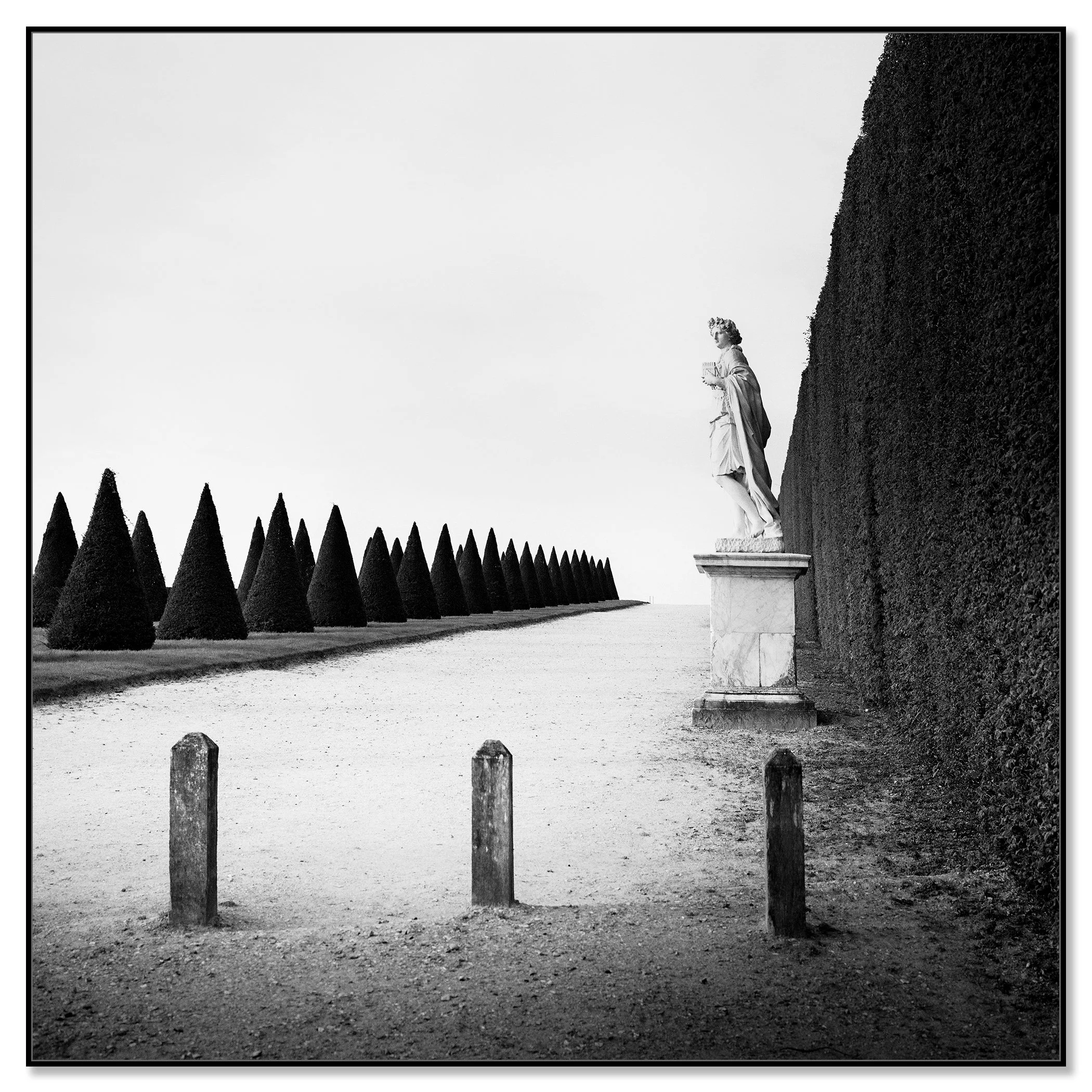 © 2017 Gerald Berghammer - Black and white landscape photography. Statue of a person along a tall hedge, with a row of trimmed cone-shaped trees. Chromaluxe framed black