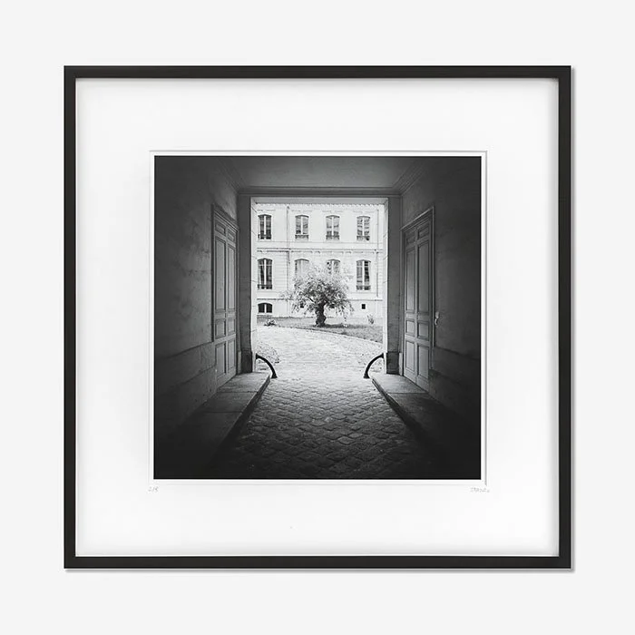 Tree in the Courtyard, Paris, France, Edition 2/9