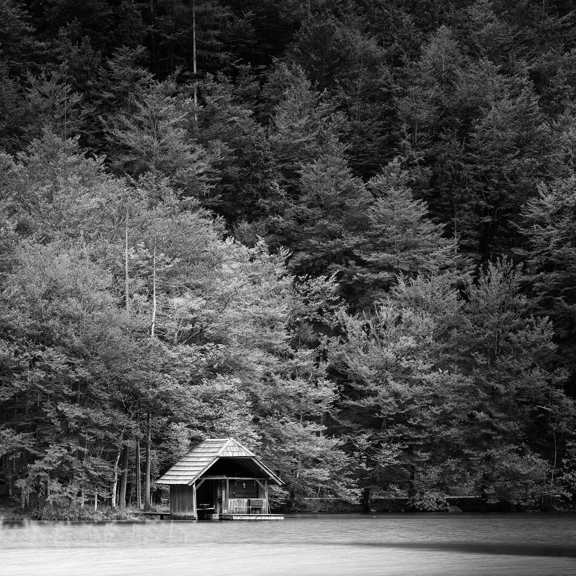 Detail of Wooden Boathouse, Study 2 showing the secluded boathouse surrounded by dense forest at Langbathsee, Austria, by Gerald Berghammer.