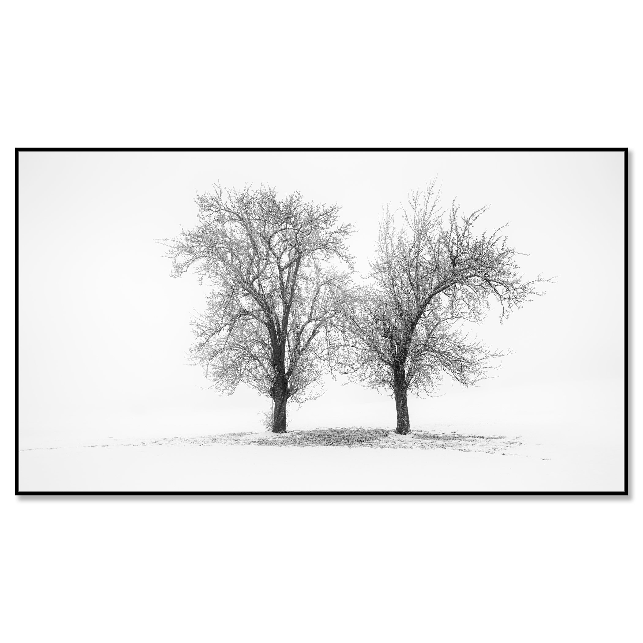 Still Winter Morning Study 1 by Gerald Berghammer mounted on aluminium Dibond in a black ArtBox frame.