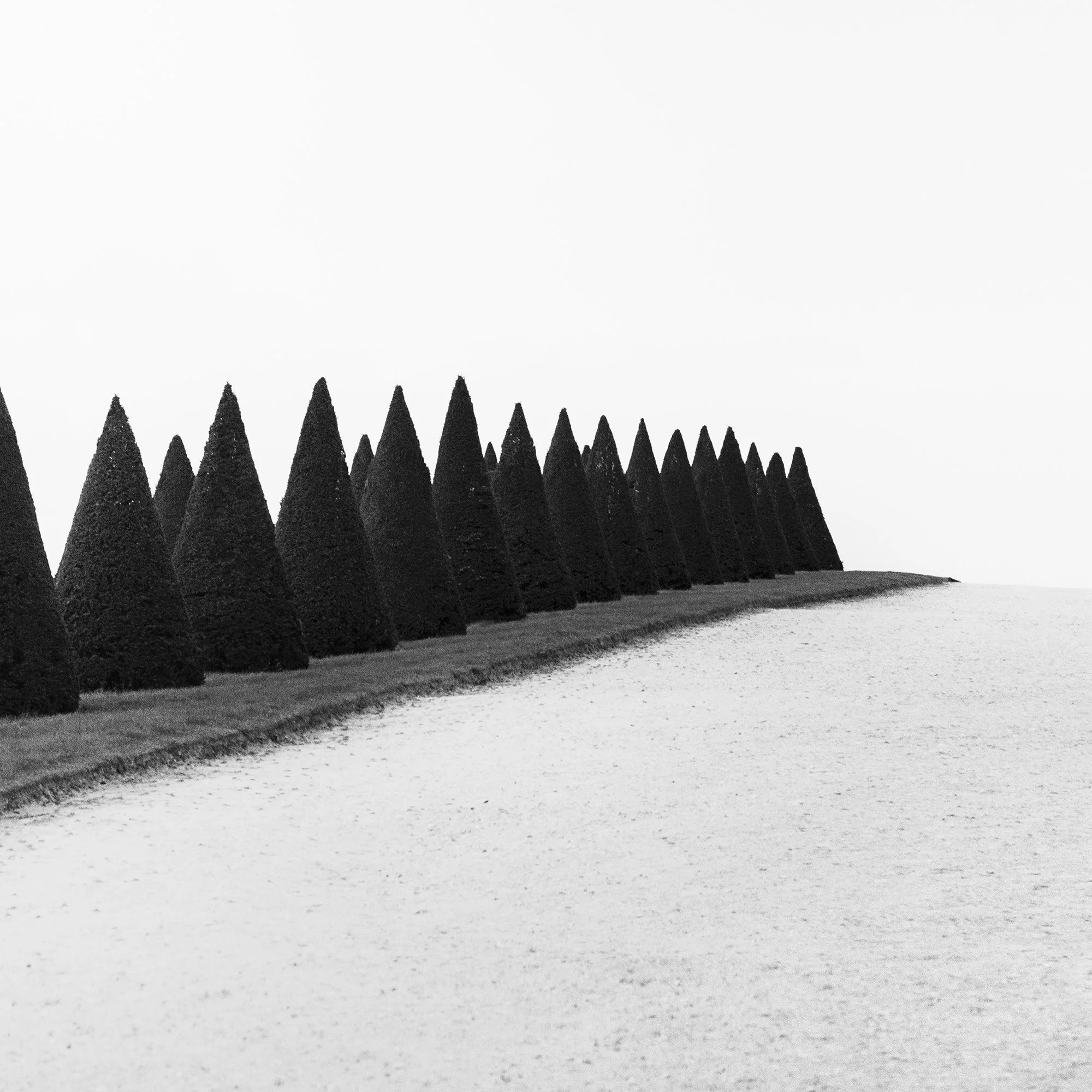 Hedges, Study 1 – minimalist detail of repeating topiary hedges and negative space at Versailles, France, by Gerald Berghammer.
