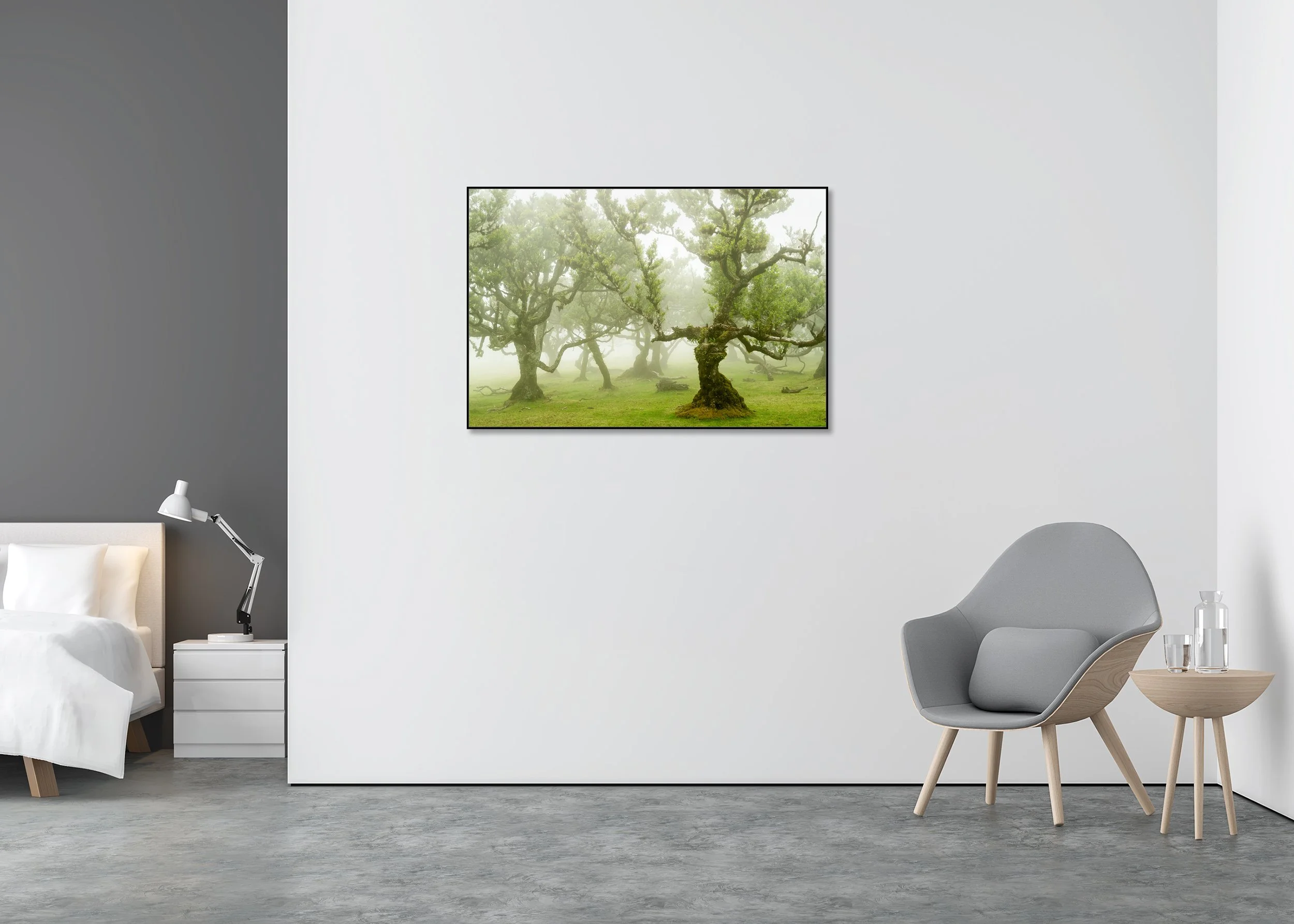 Foggy forest with ancient moss-covered trees standing on a lush green meadow. ChromaLuxe Metal Print – Aluminium ArtBox